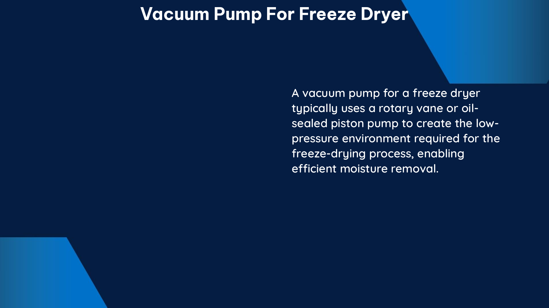 vacuum pump for freeze dryer