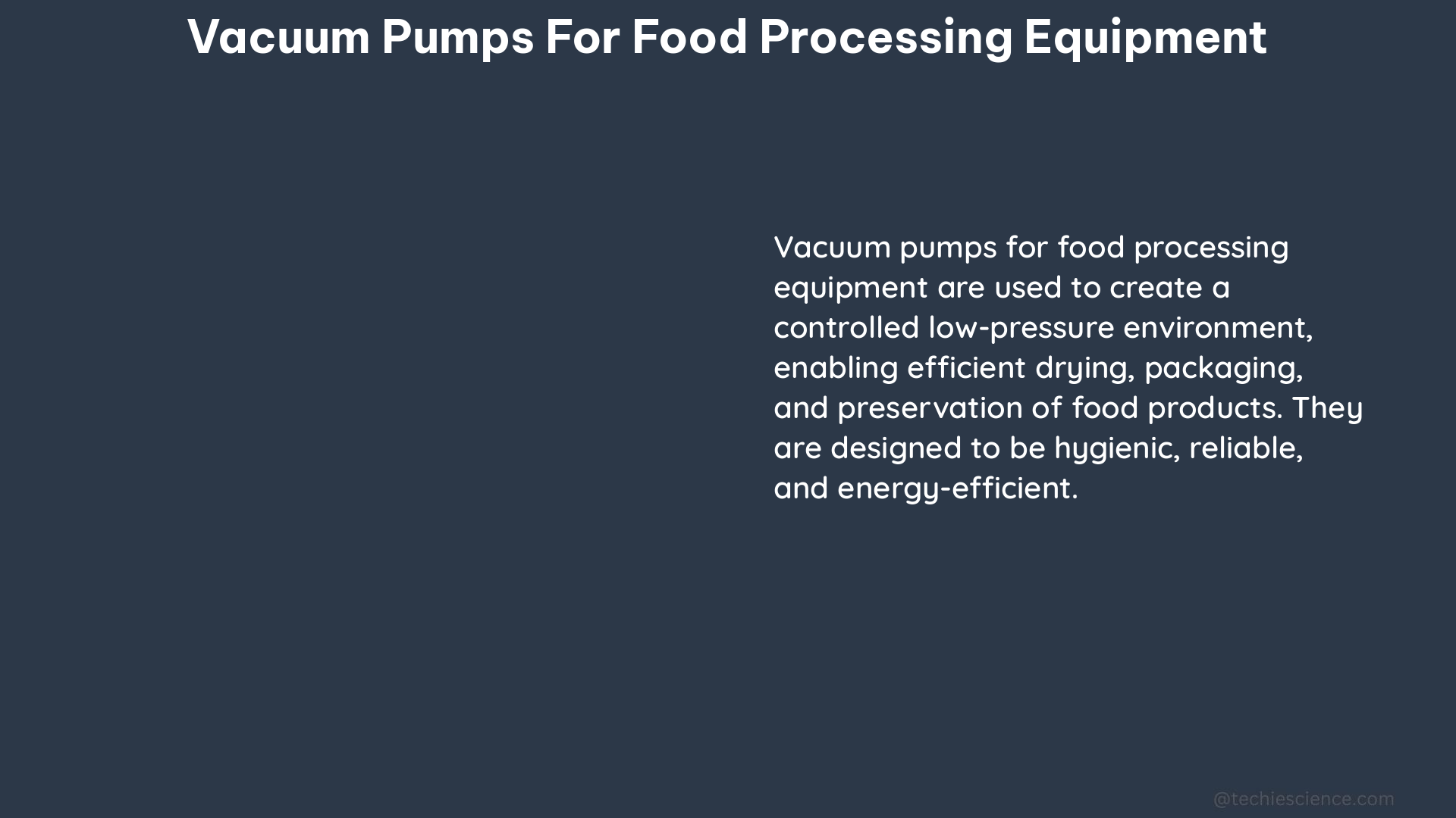 vacuum pumps for food processing equipment