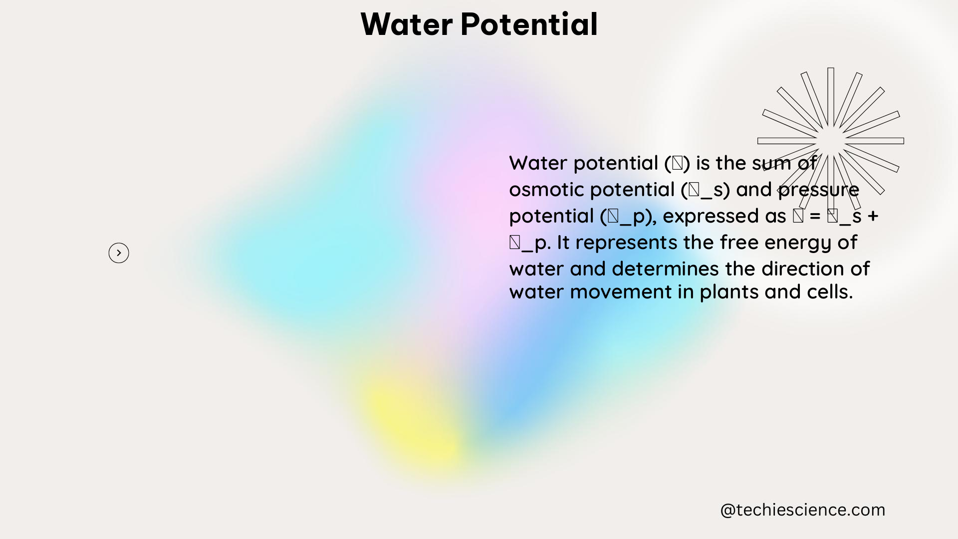 water potential