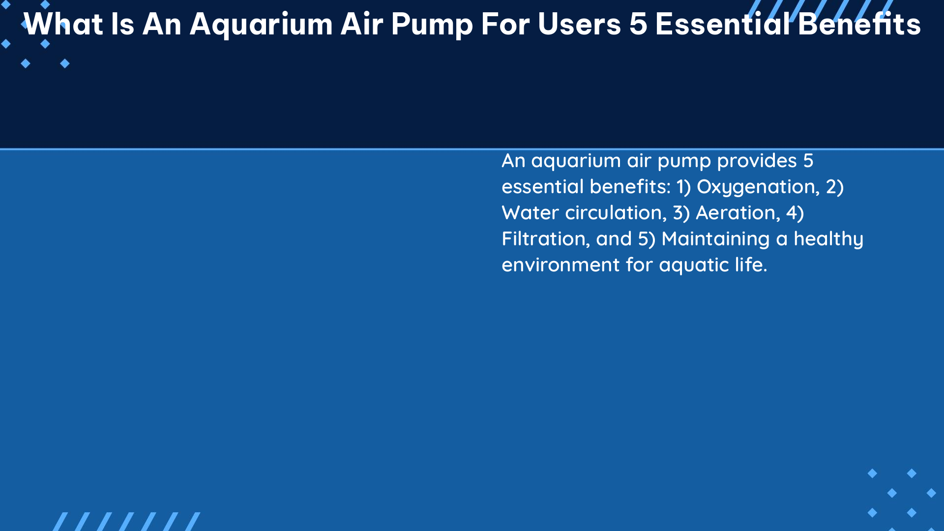 what is an aquarium air pump for users 5 essential benefits