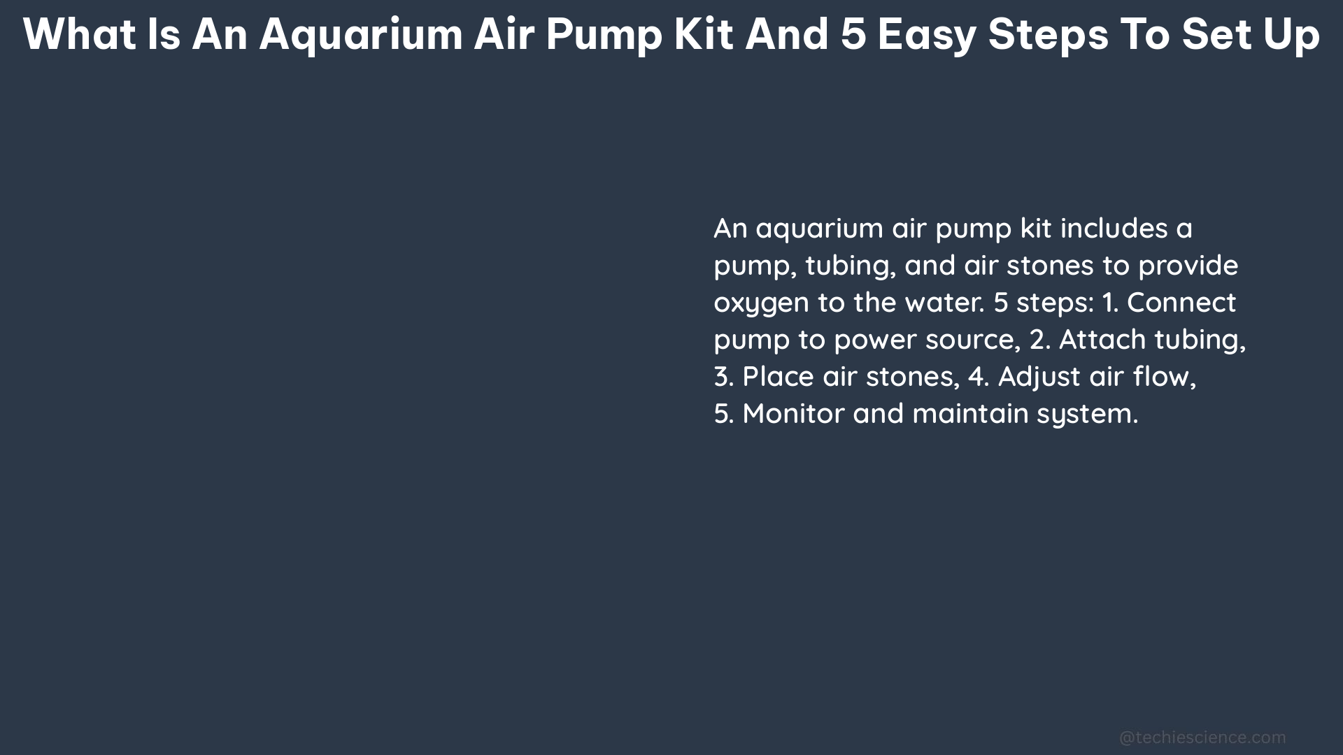 what is an aquarium air pump kit and 5 easy steps to set up