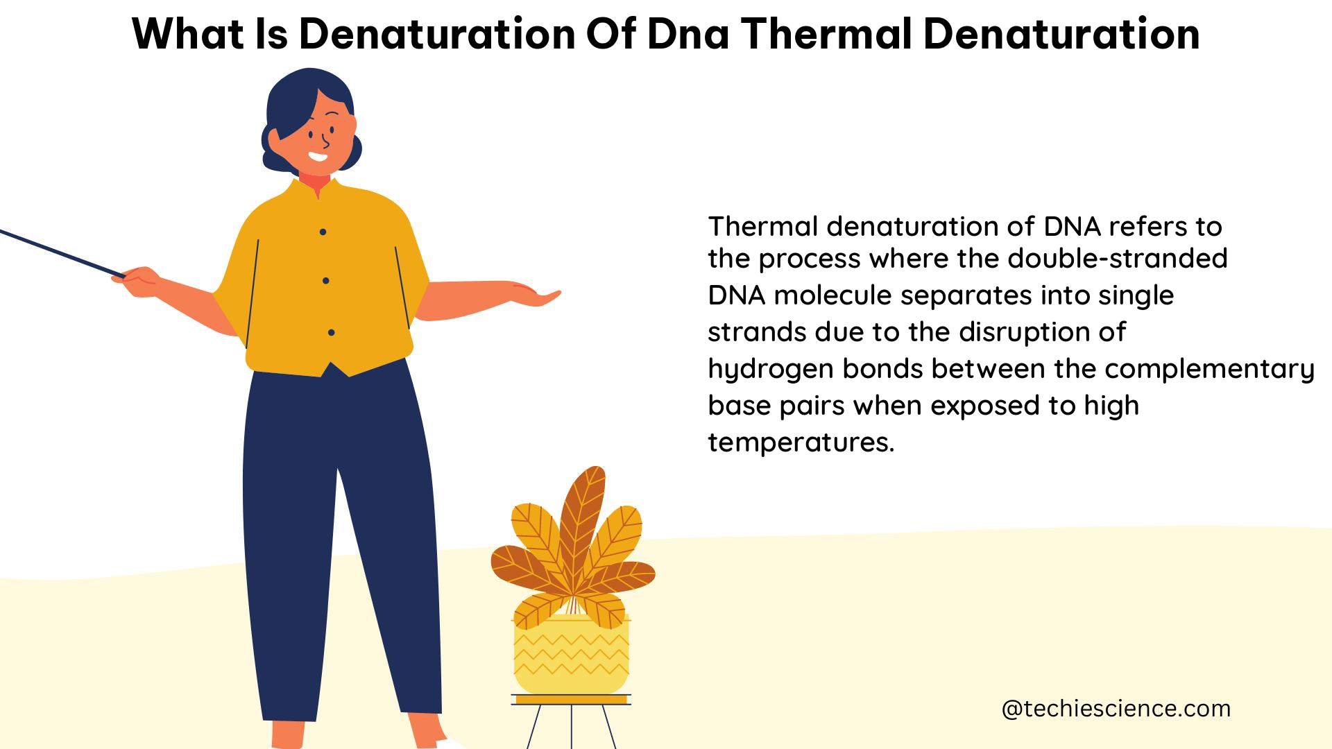 what is denaturation of dna thermal denaturation