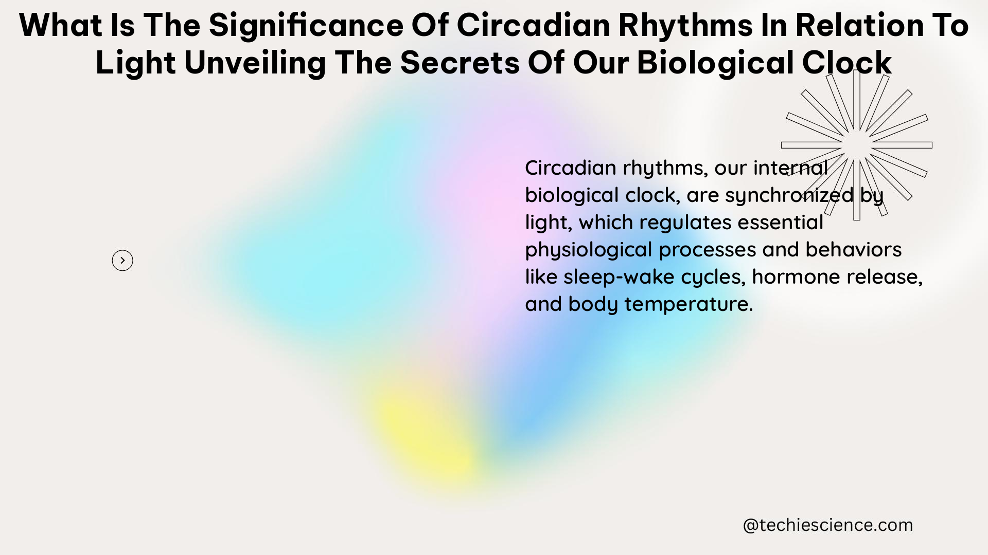 what is the significance of circadian rhythms in relation to light unveiling the secrets of our biological clock