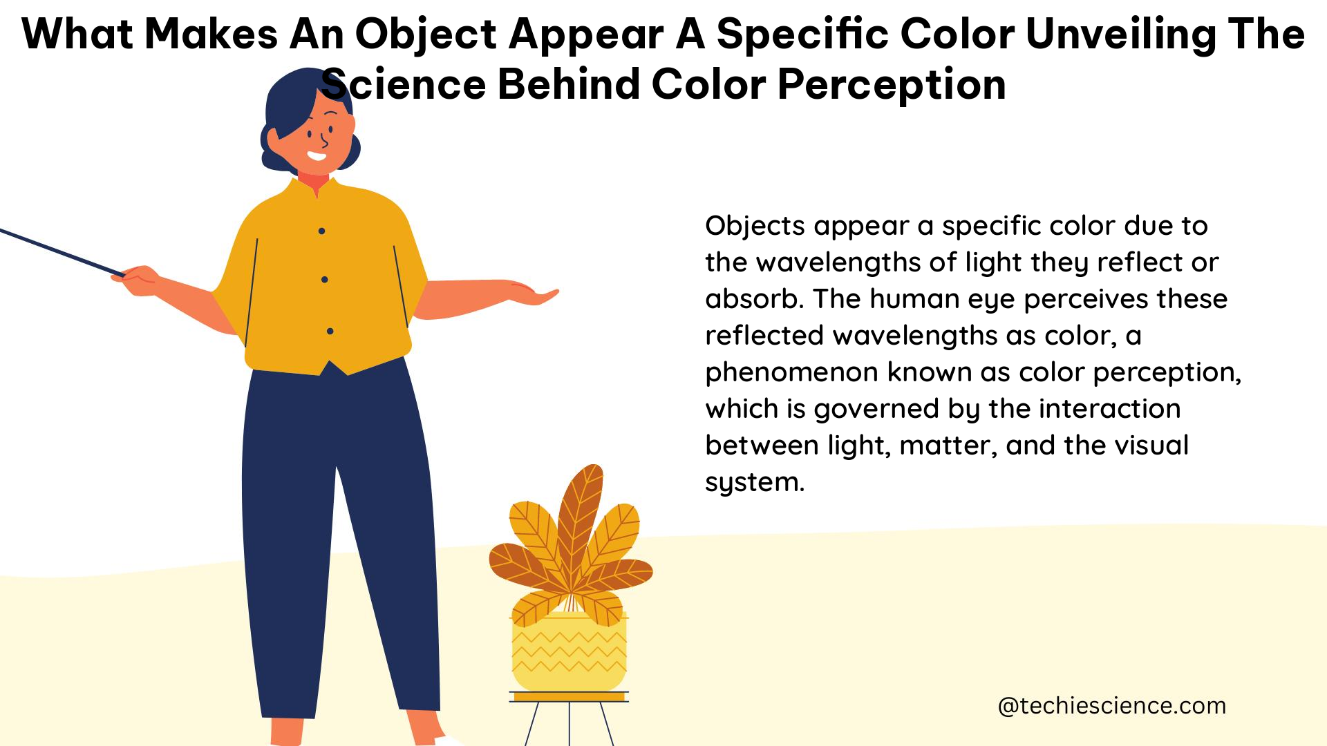 what makes an object appear a specific color unveiling the science behind color perception