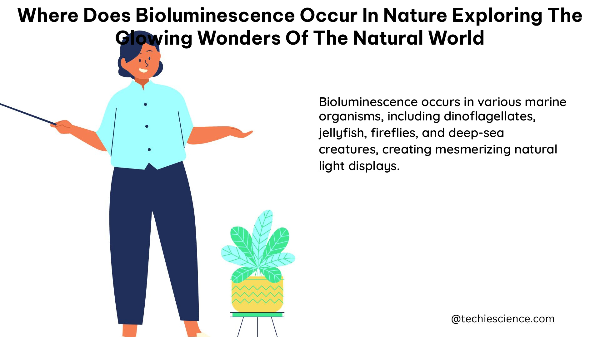 where does bioluminescence occur in nature exploring the glowing wonders of the natural world