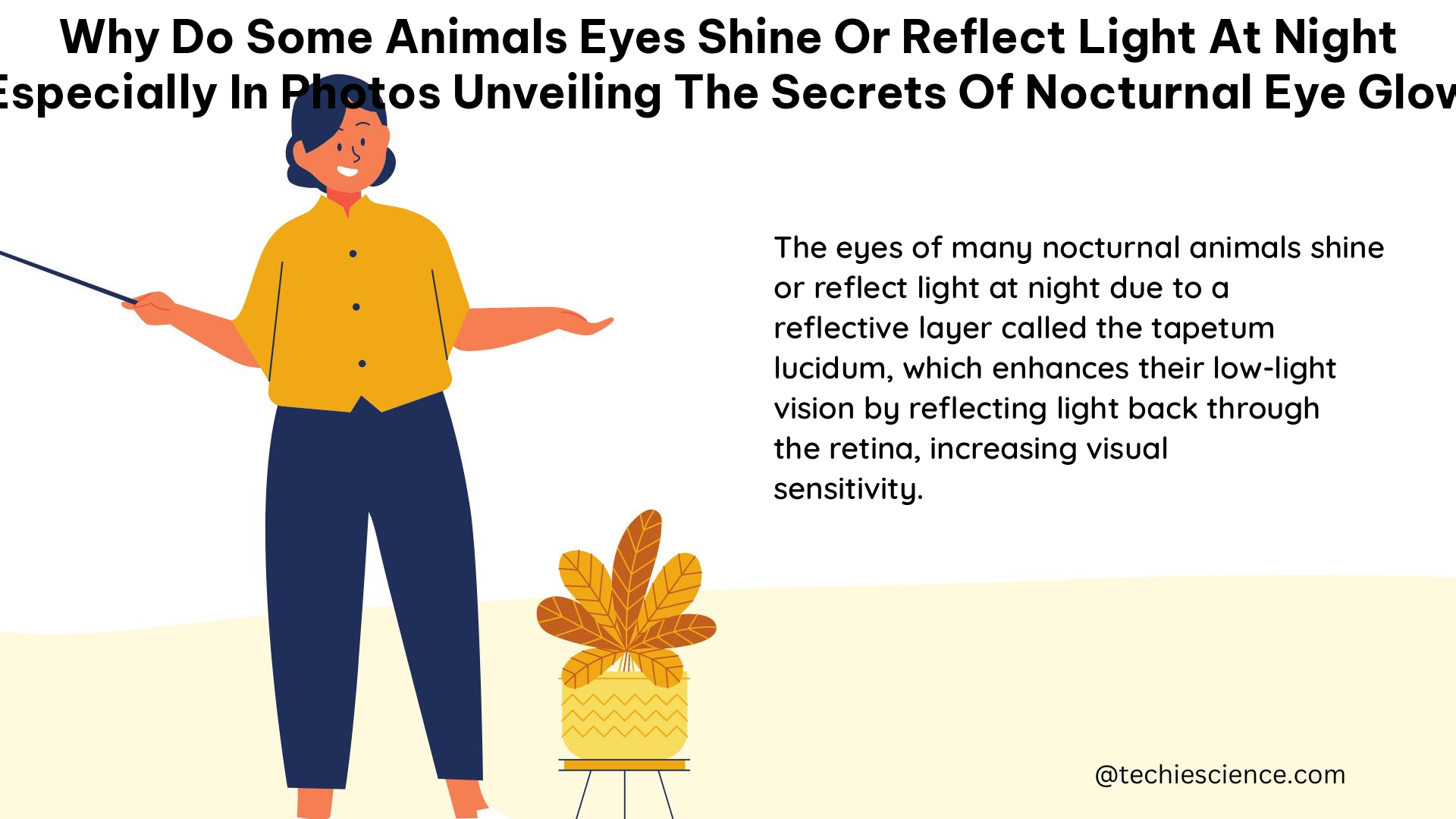 why do some animals eyes shine or reflect light at night especially in photos unveiling the secrets of nocturnal eye glow