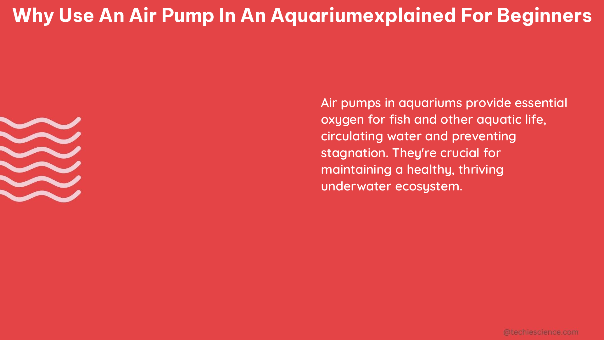 why use an air pump in an aquariumexplained for beginners