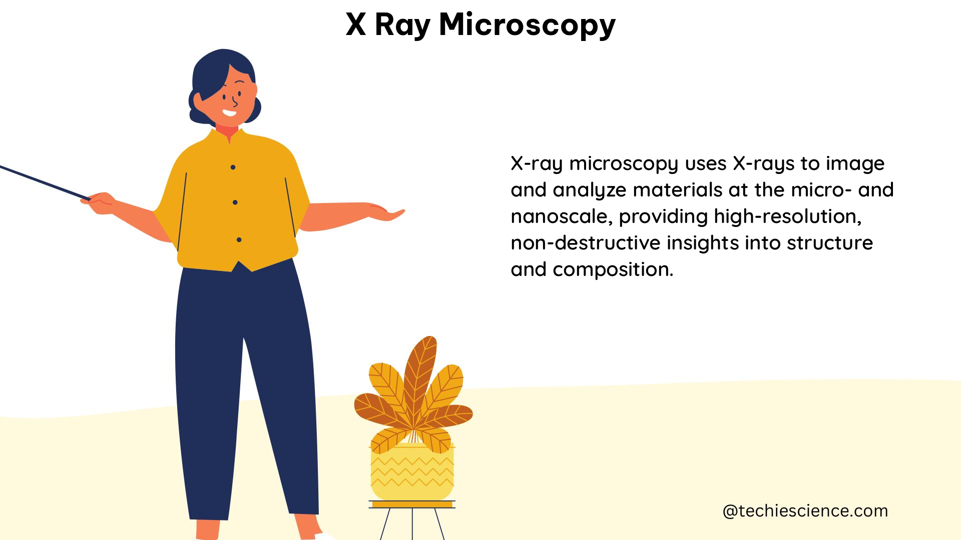 x ray microscopy