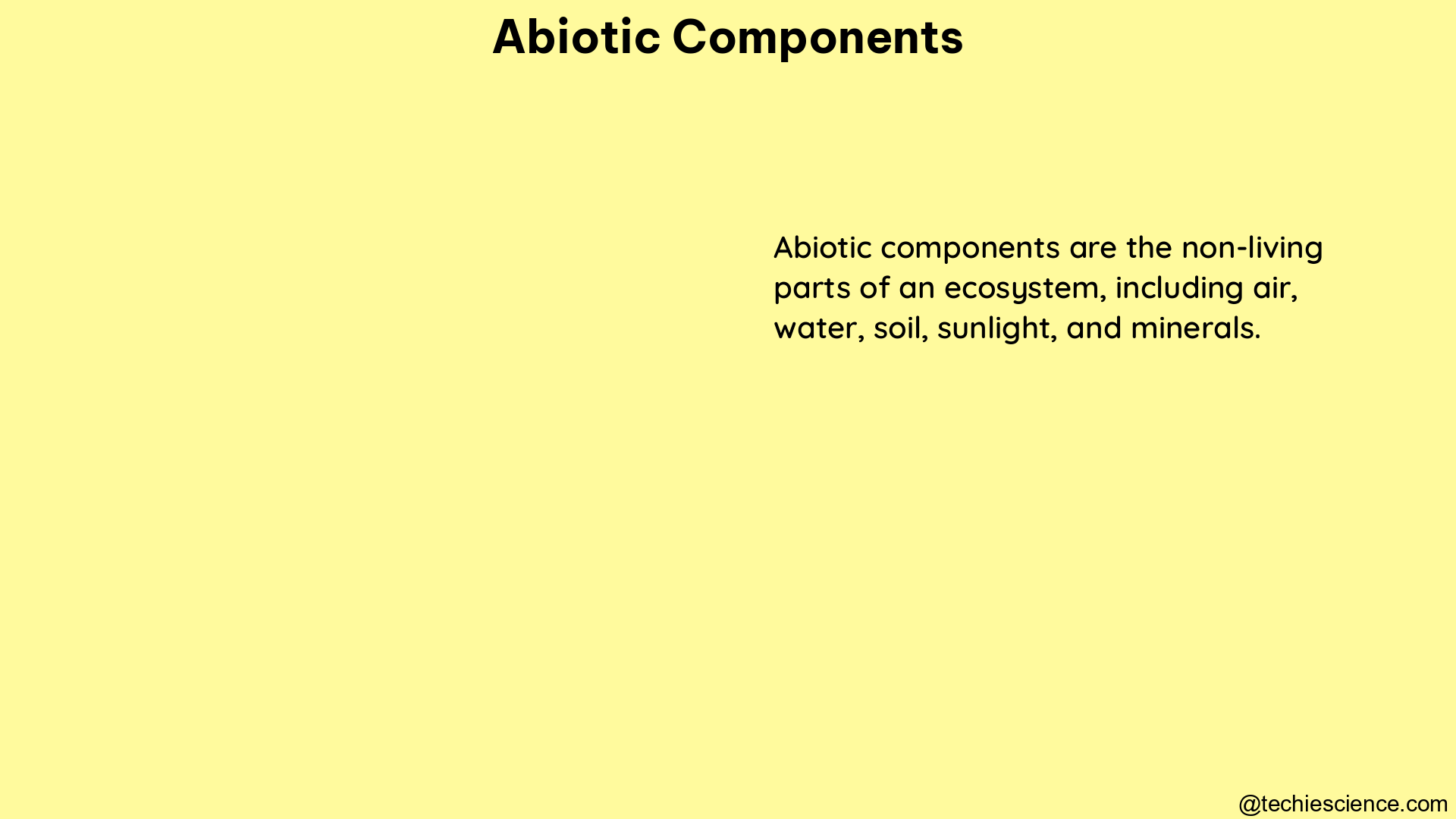 abiotic components