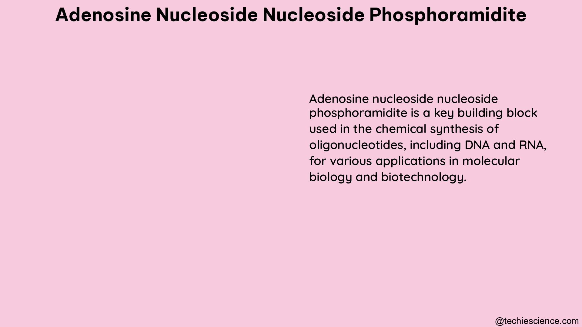 adenosine nucleoside nucleoside phosphoramidite