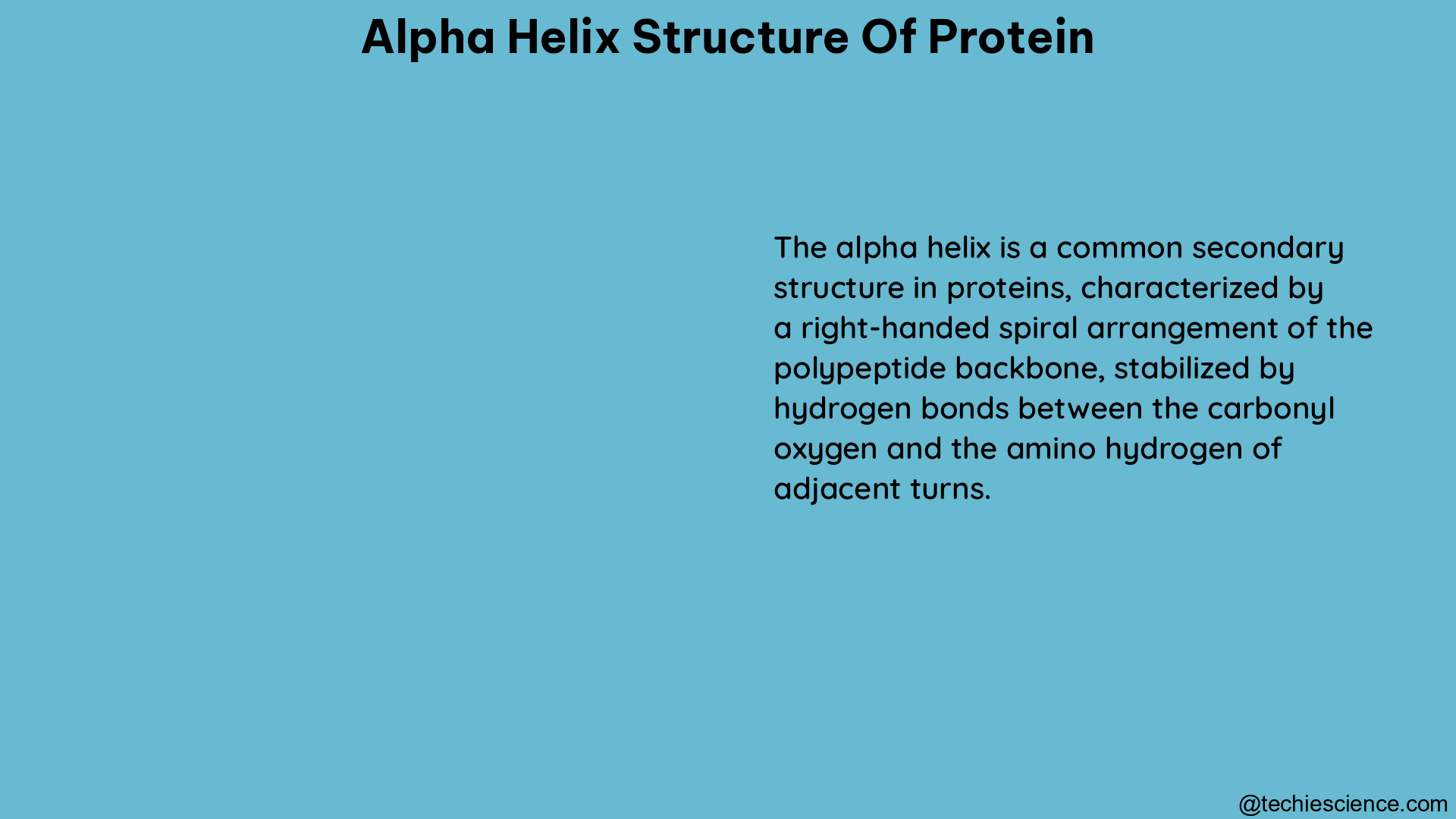 alpha helix structure of protein