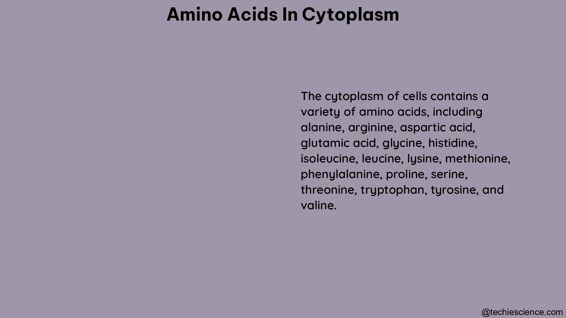 amino acids in cytoplasm