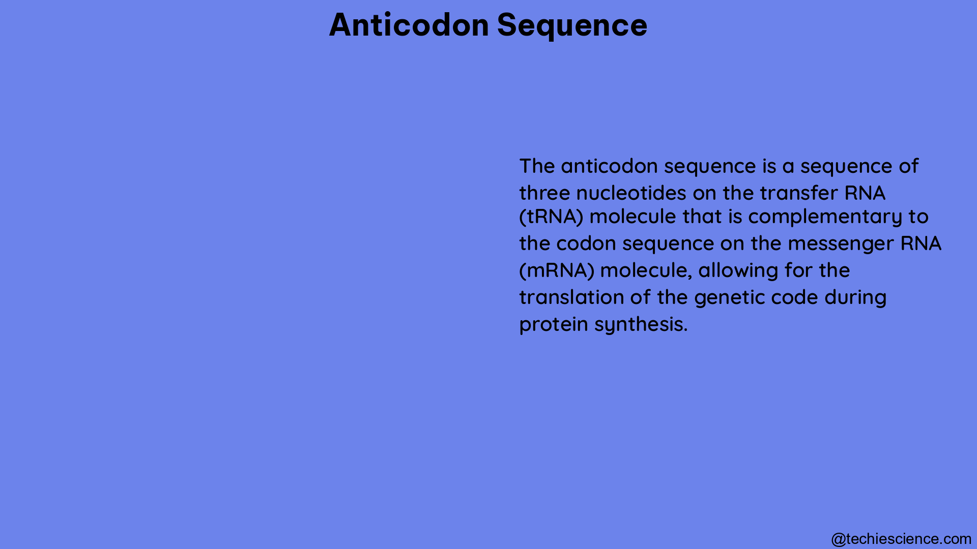 anticodon sequence