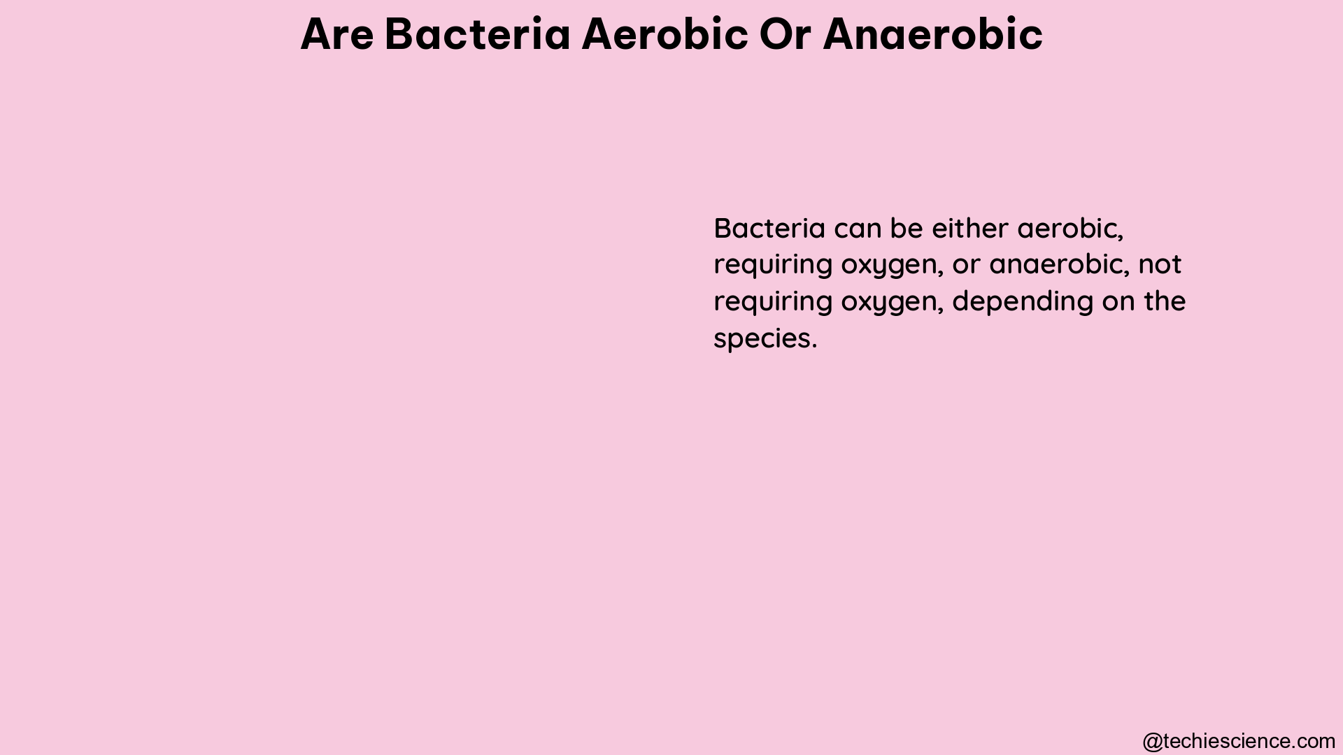 are bacteria aerobic or anaerobic