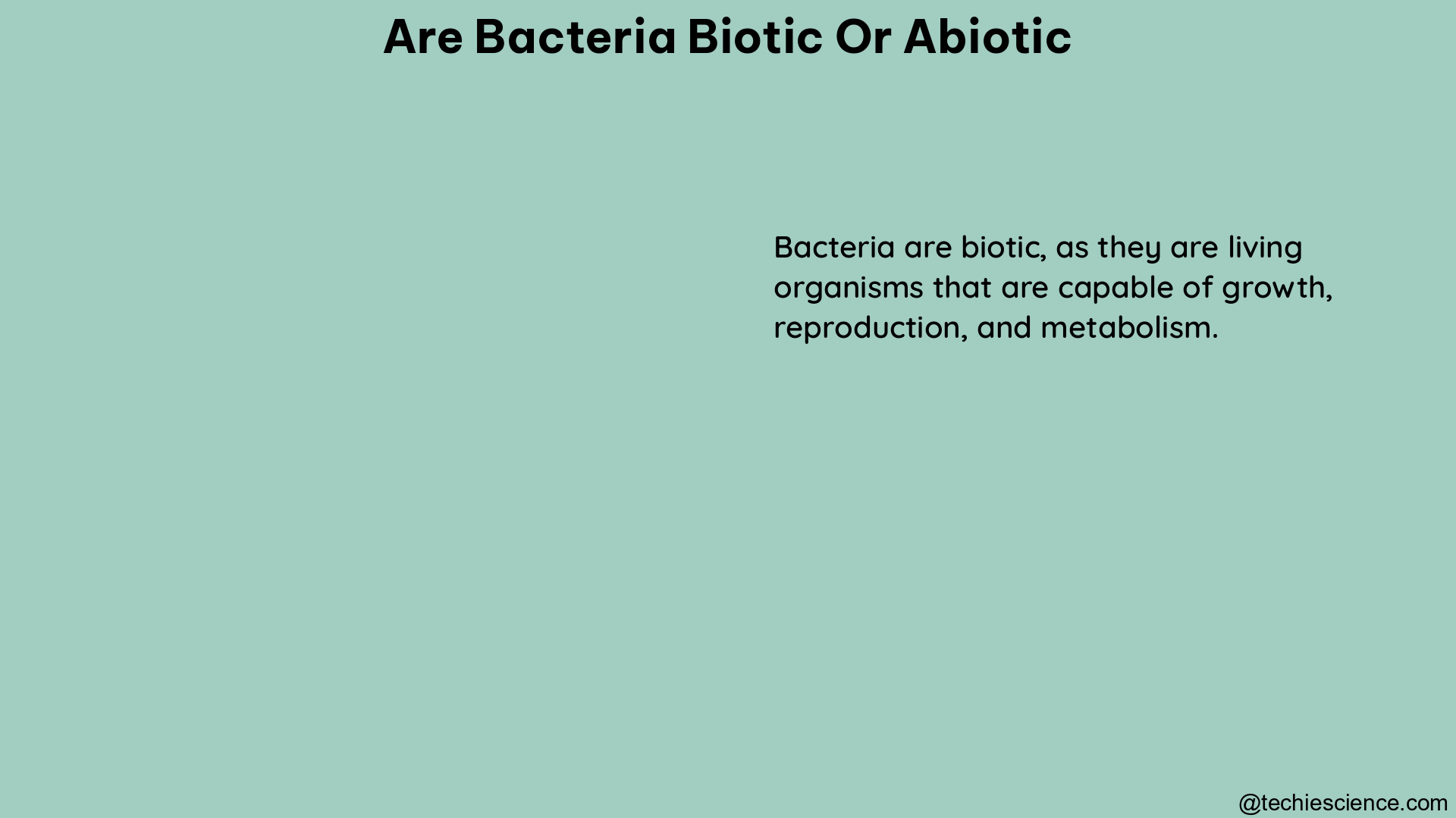 are bacteria biotic or abiotic