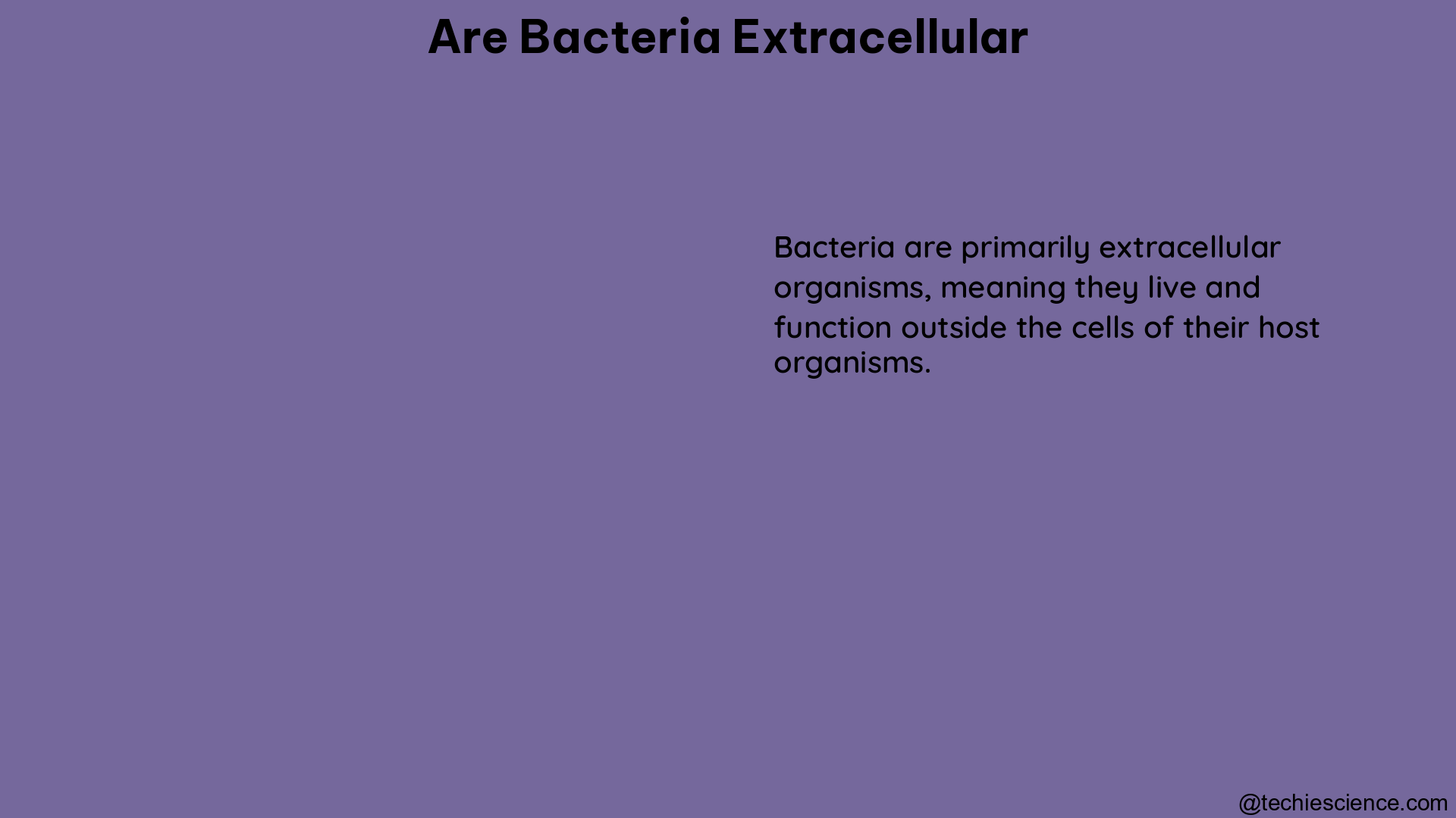 are bacteria extracellular