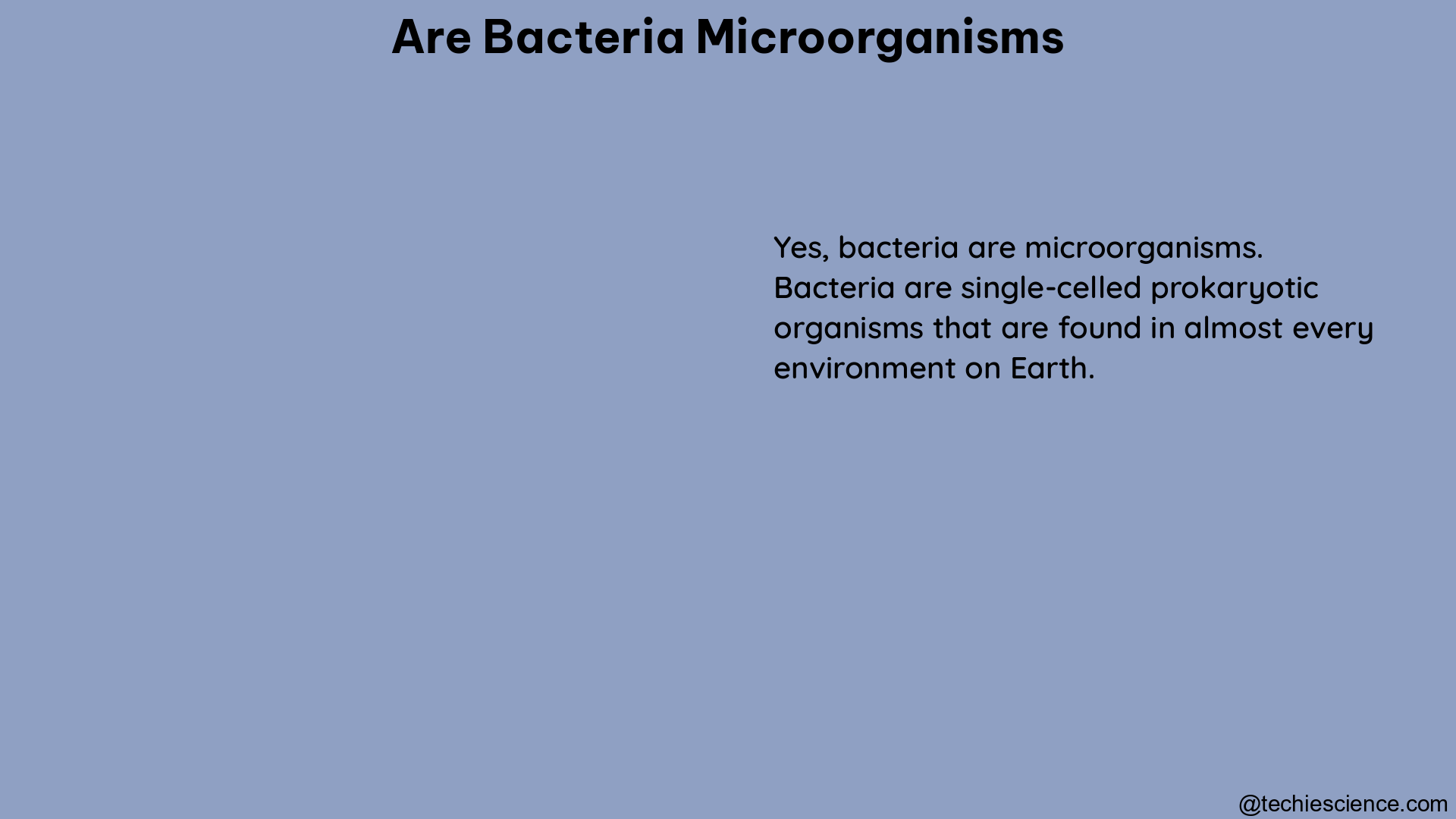 are bacteria microorganisms