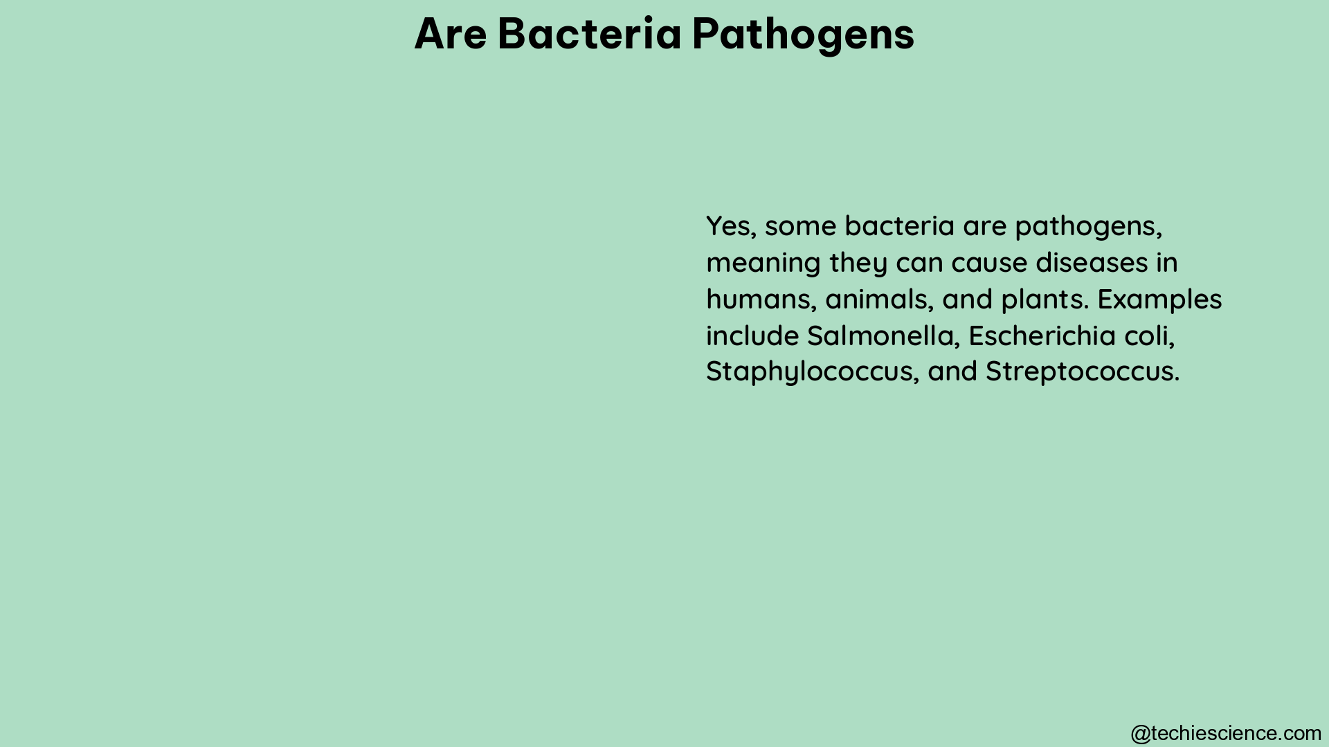 are bacteria pathogens