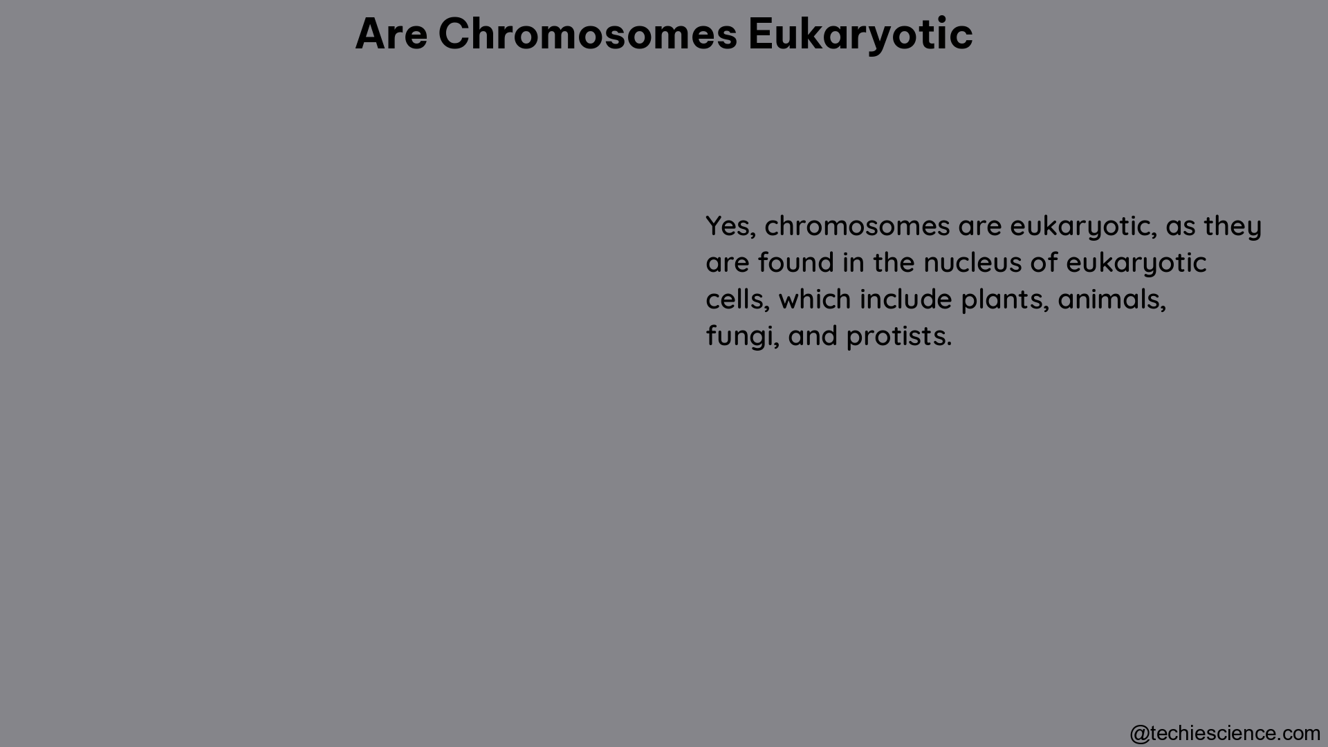 are chromosomes eukaryotic