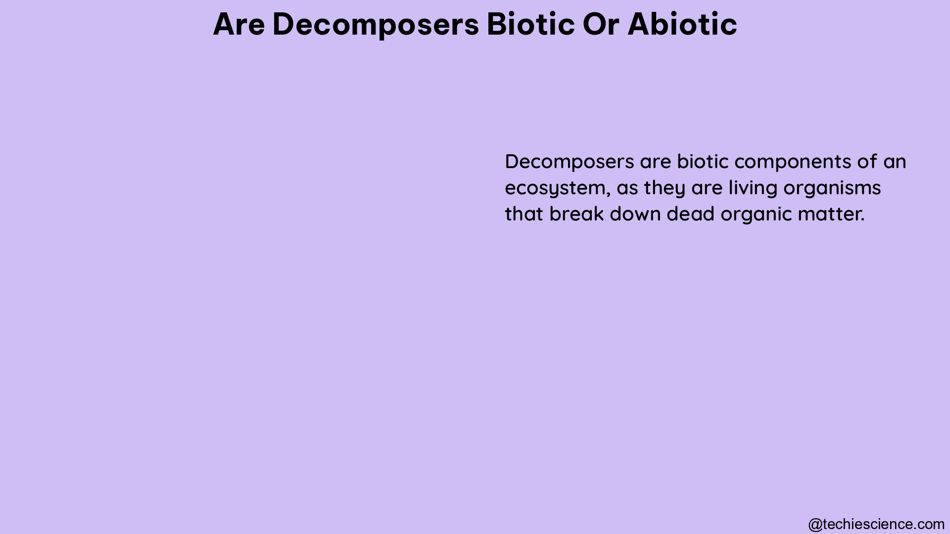 are decomposers biotic or abiotic