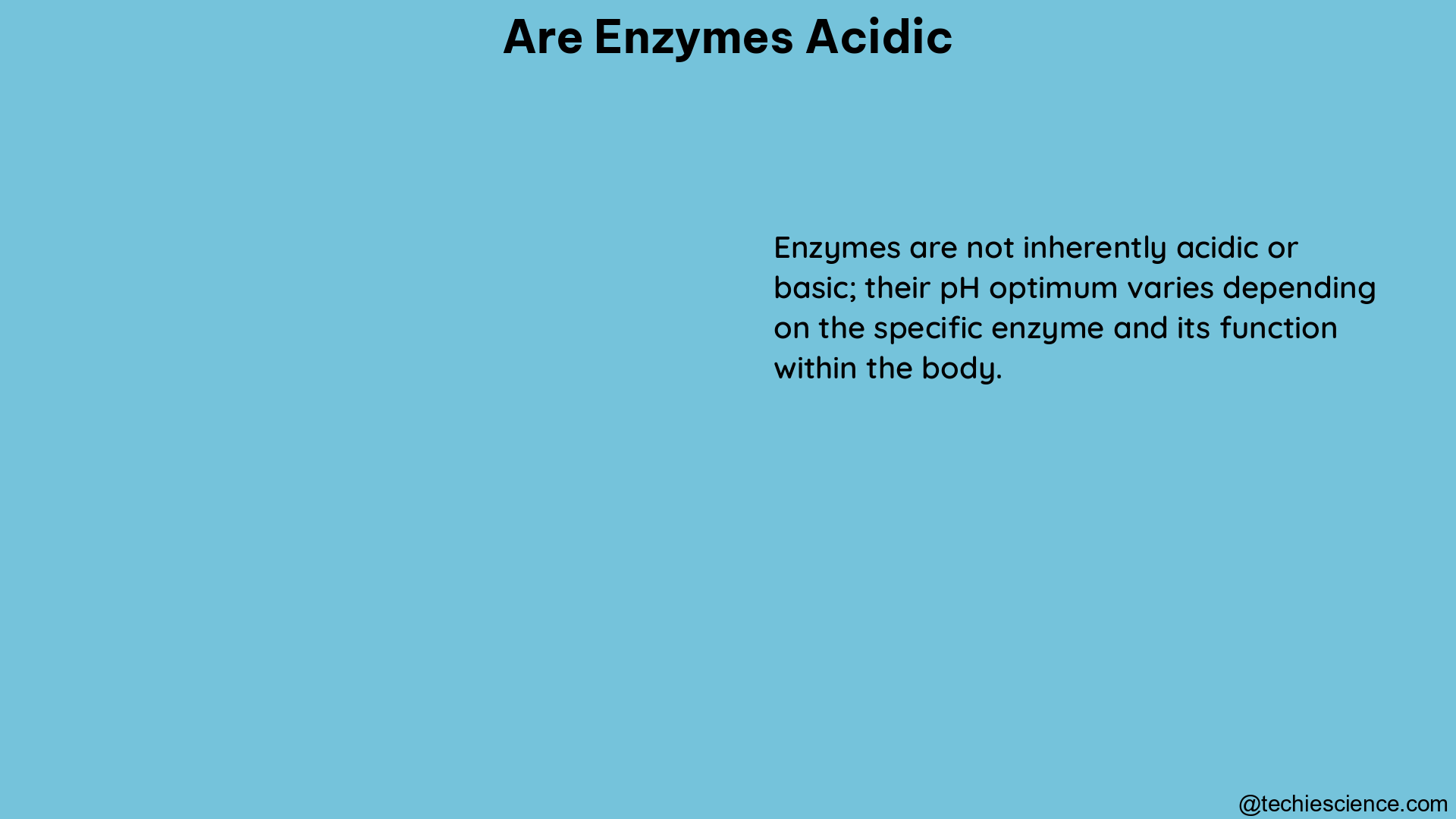 are enzymes acidic