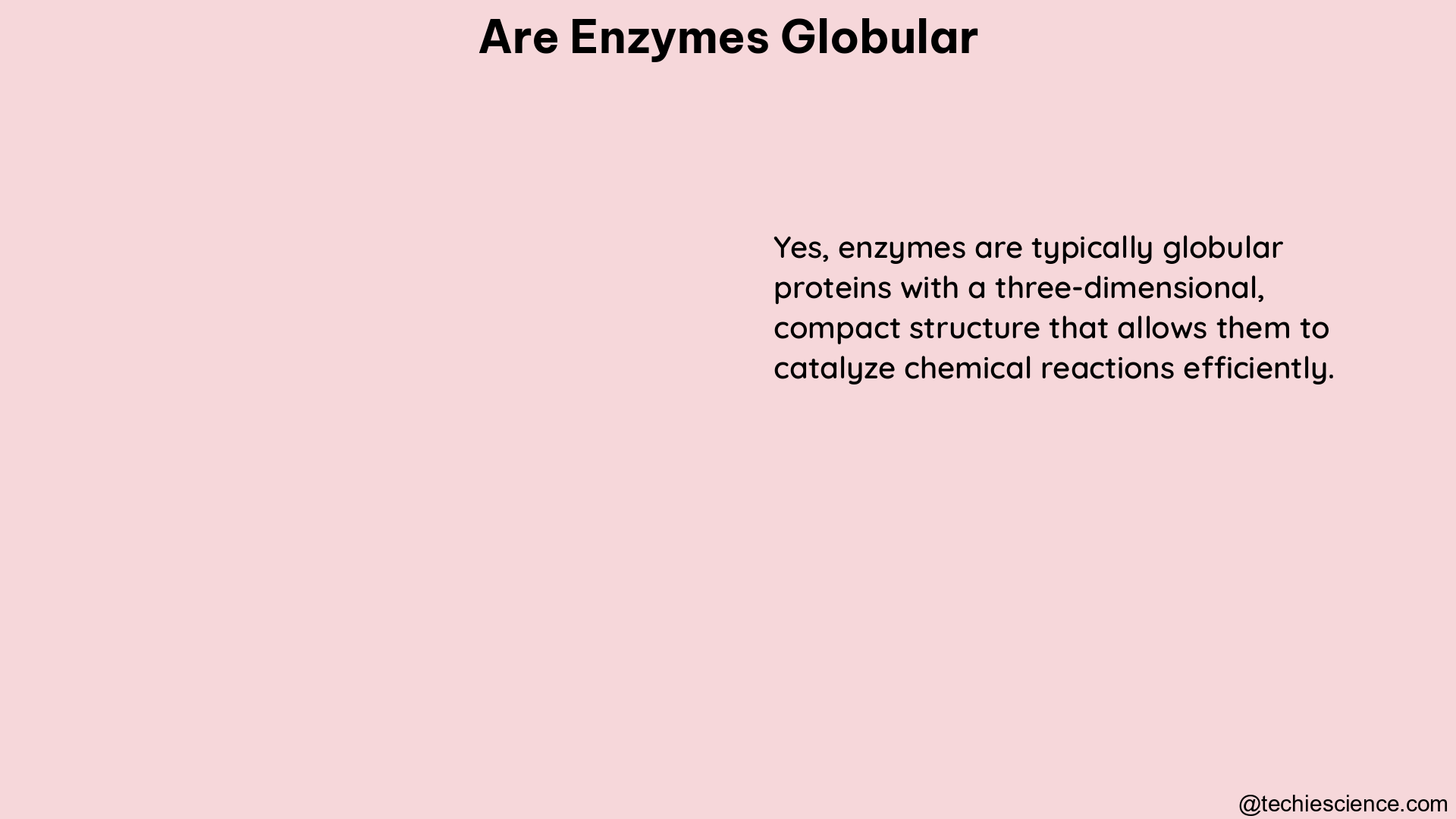 are enzymes globular