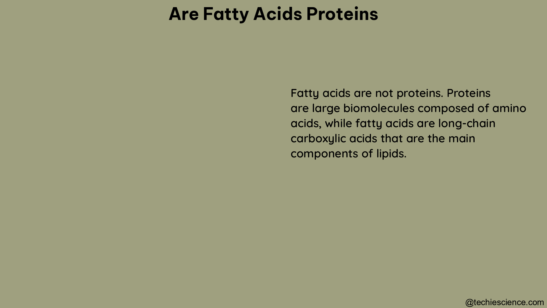 are fatty acids proteins