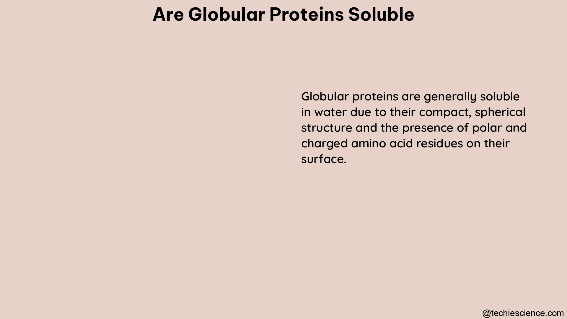 are globular proteins soluble