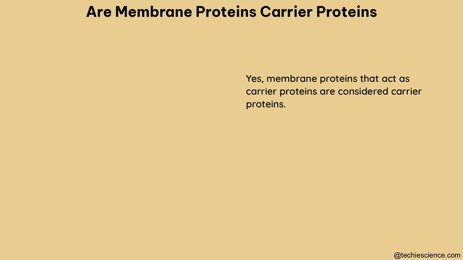 are membrane proteins carrier proteins