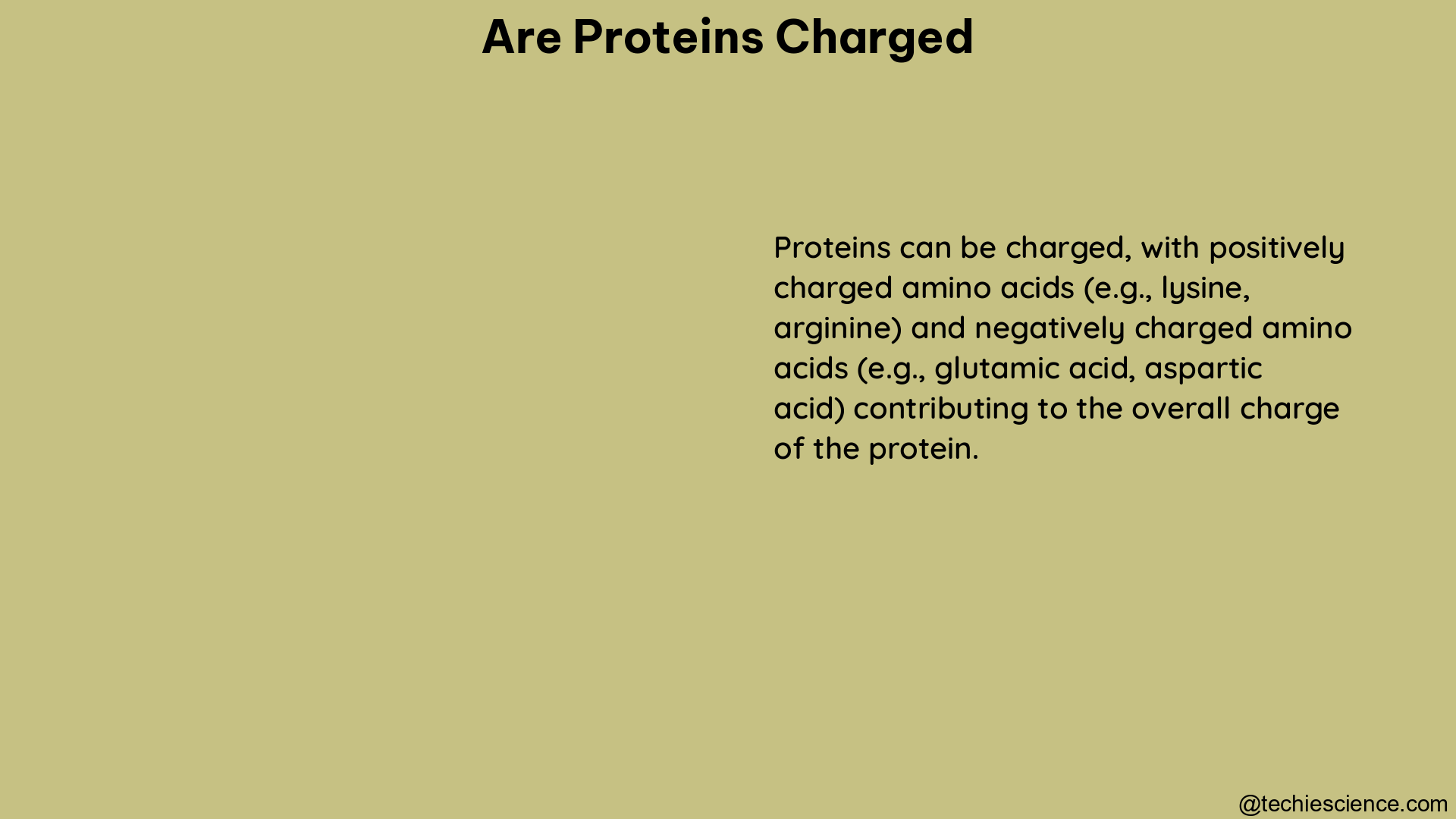 are proteins charged