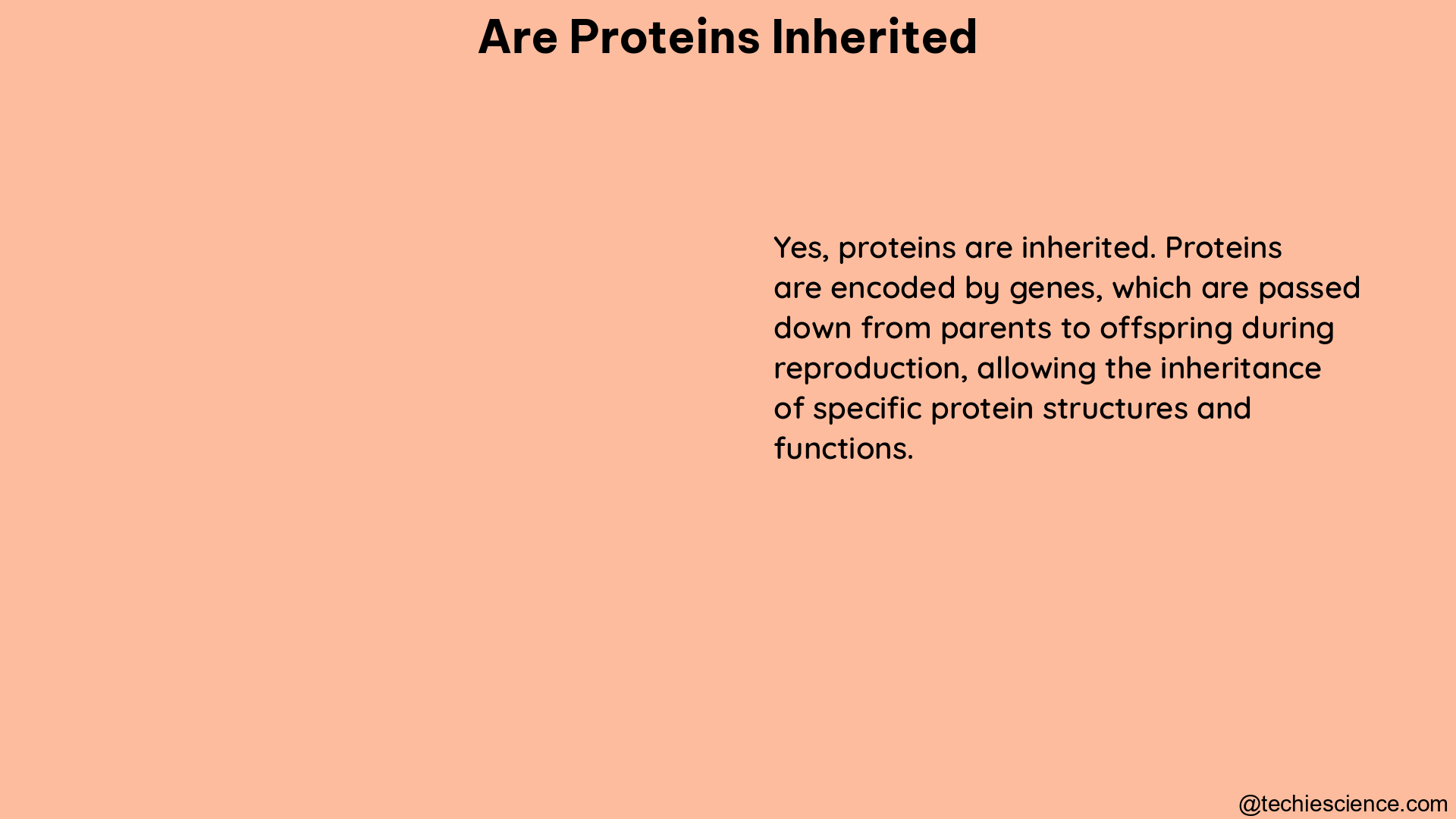 are proteins inherited