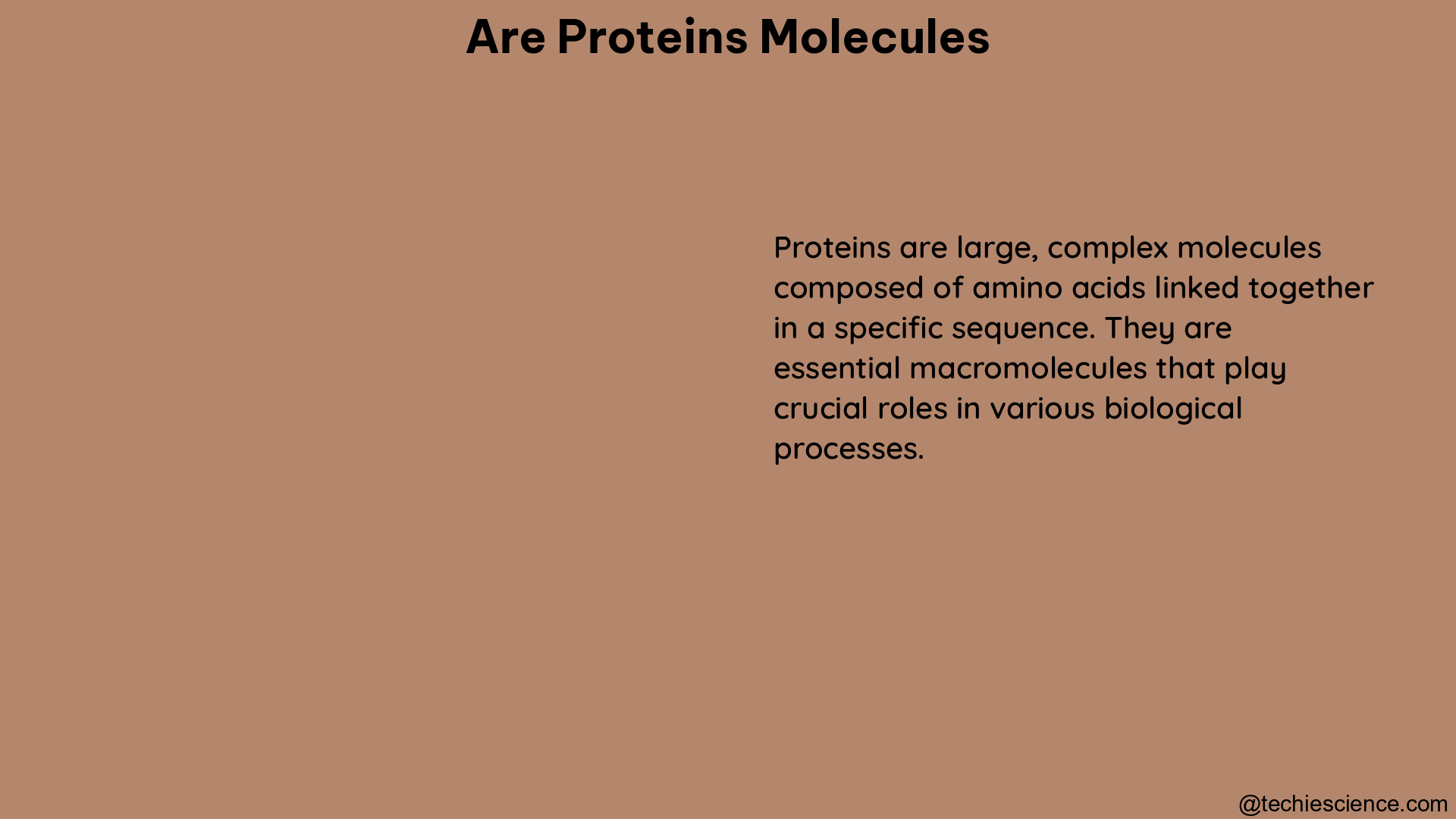 are proteins molecules