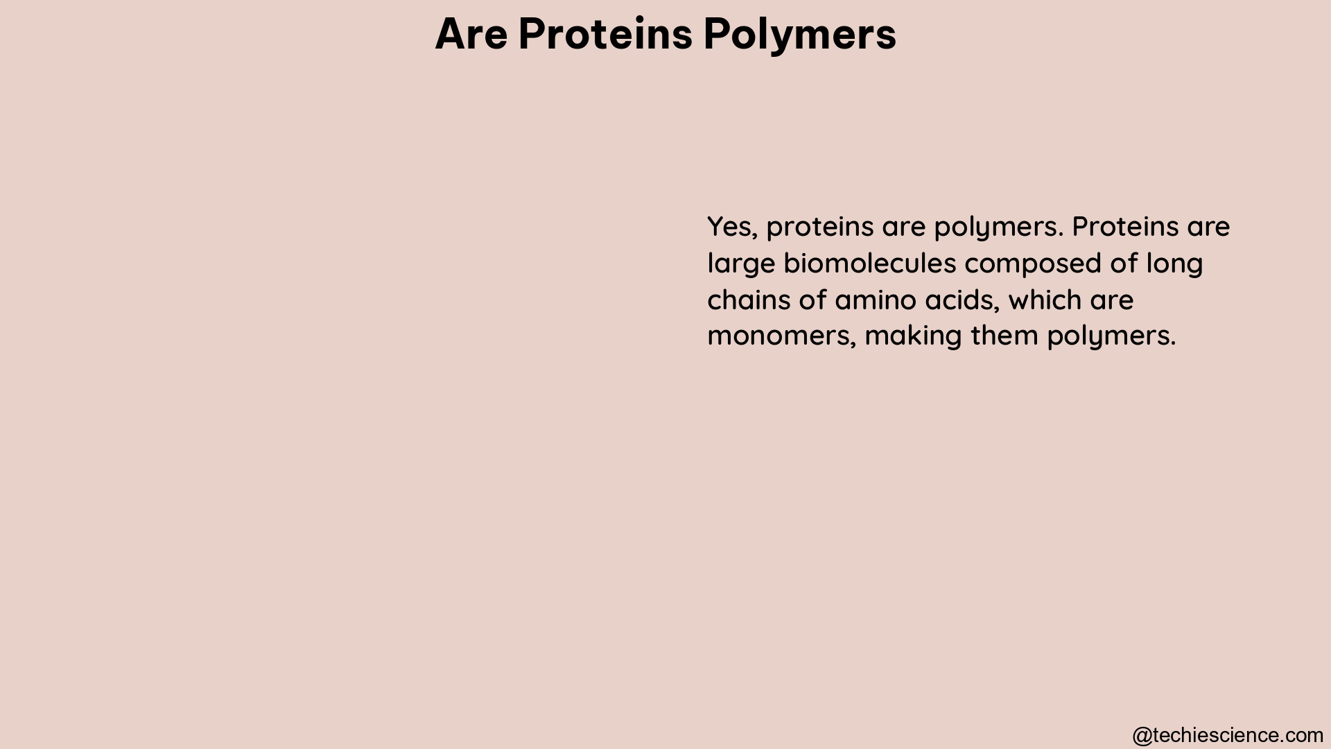 are proteins polymers