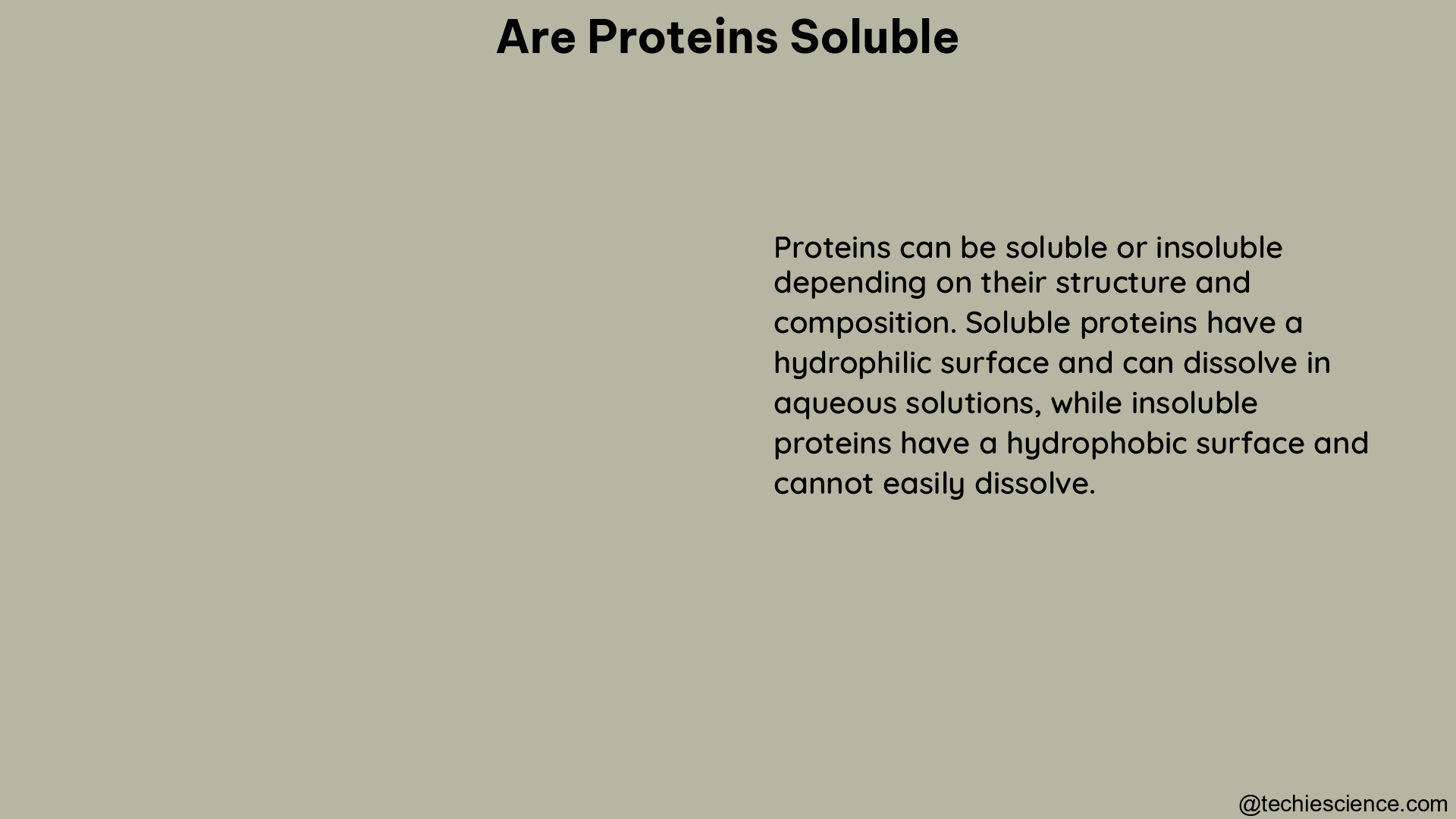 are proteins soluble