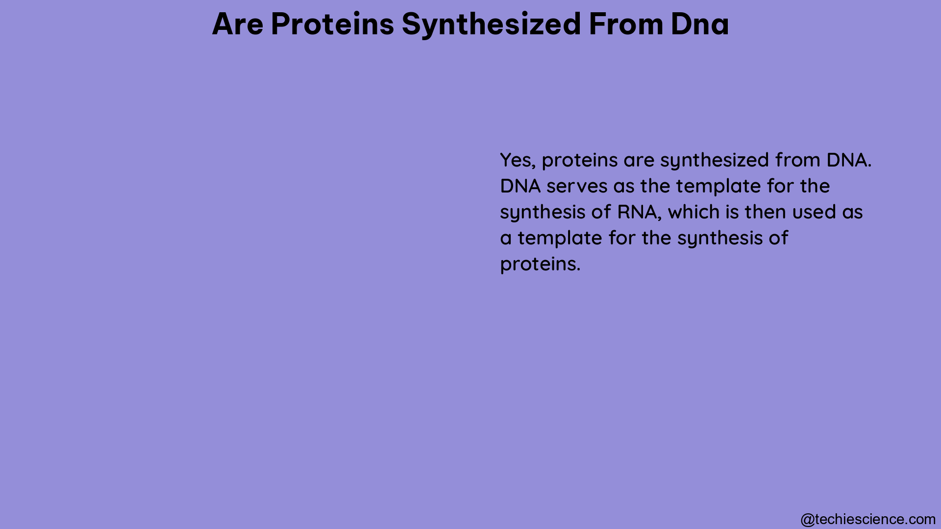 are proteins synthesized from dna