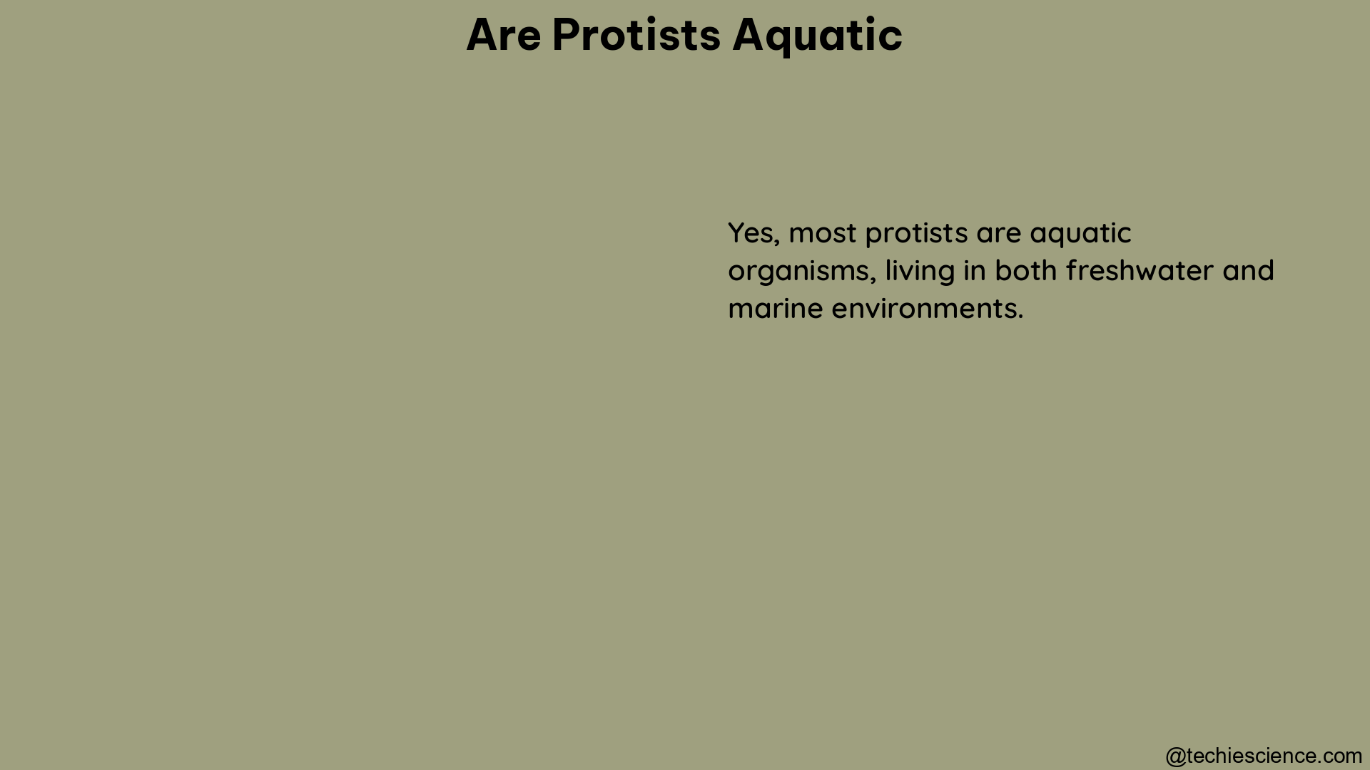 are protists aquatic