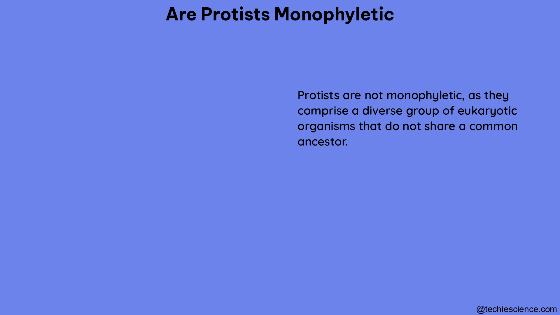 are protists monophyletic