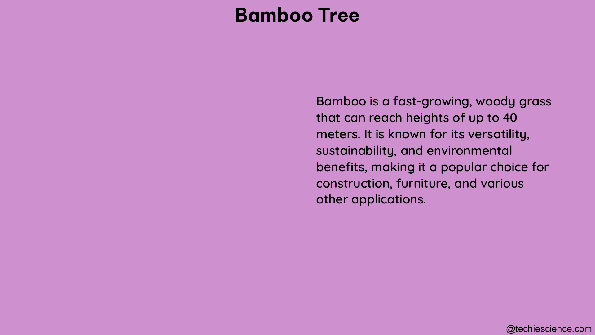 bamboo tree