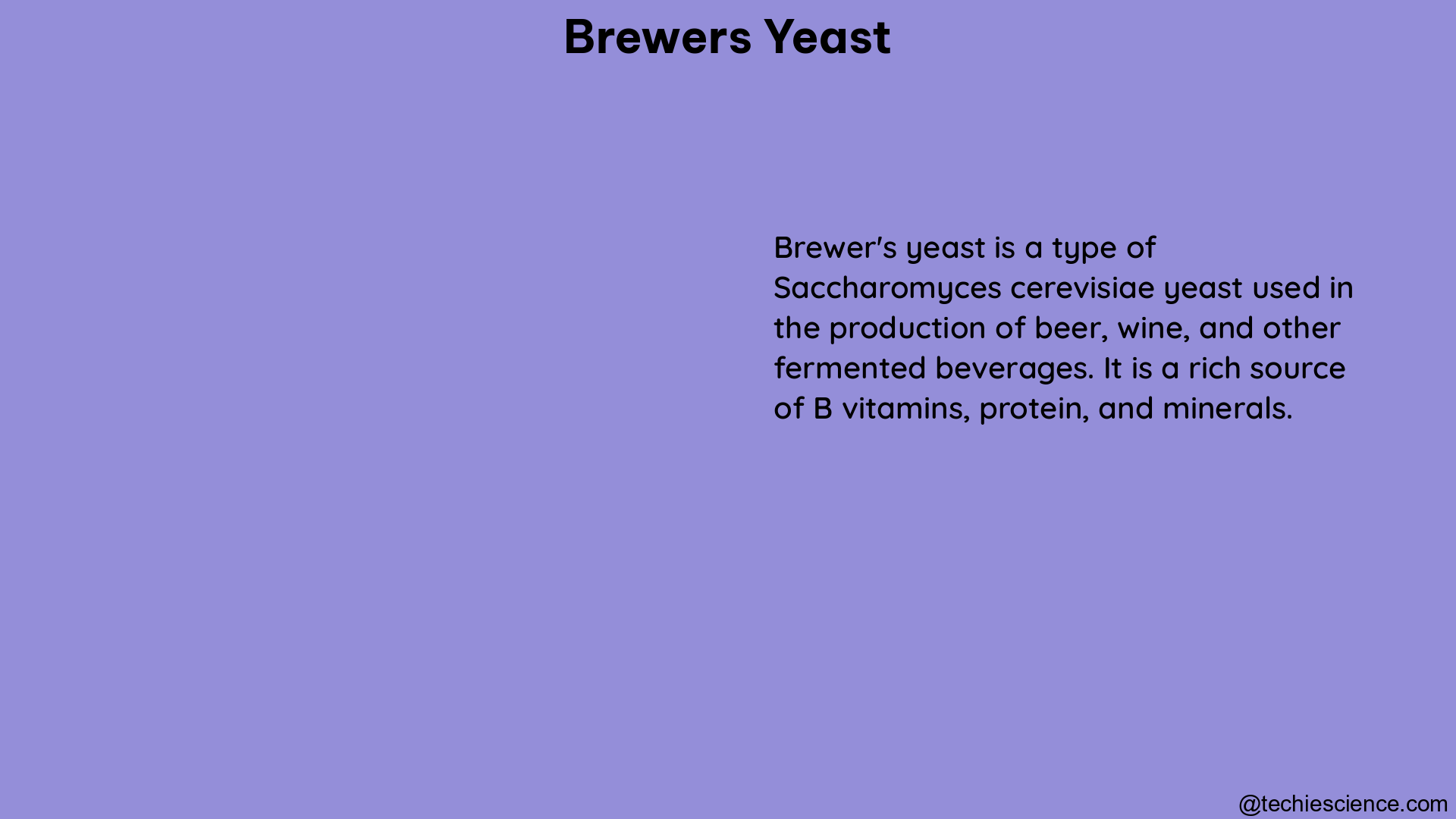 brewers yeast