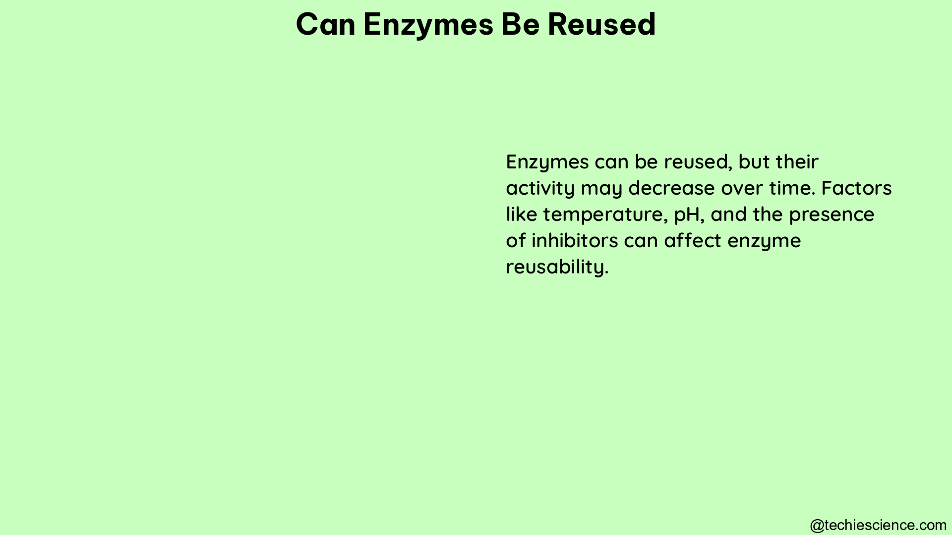 can enzymes be reused