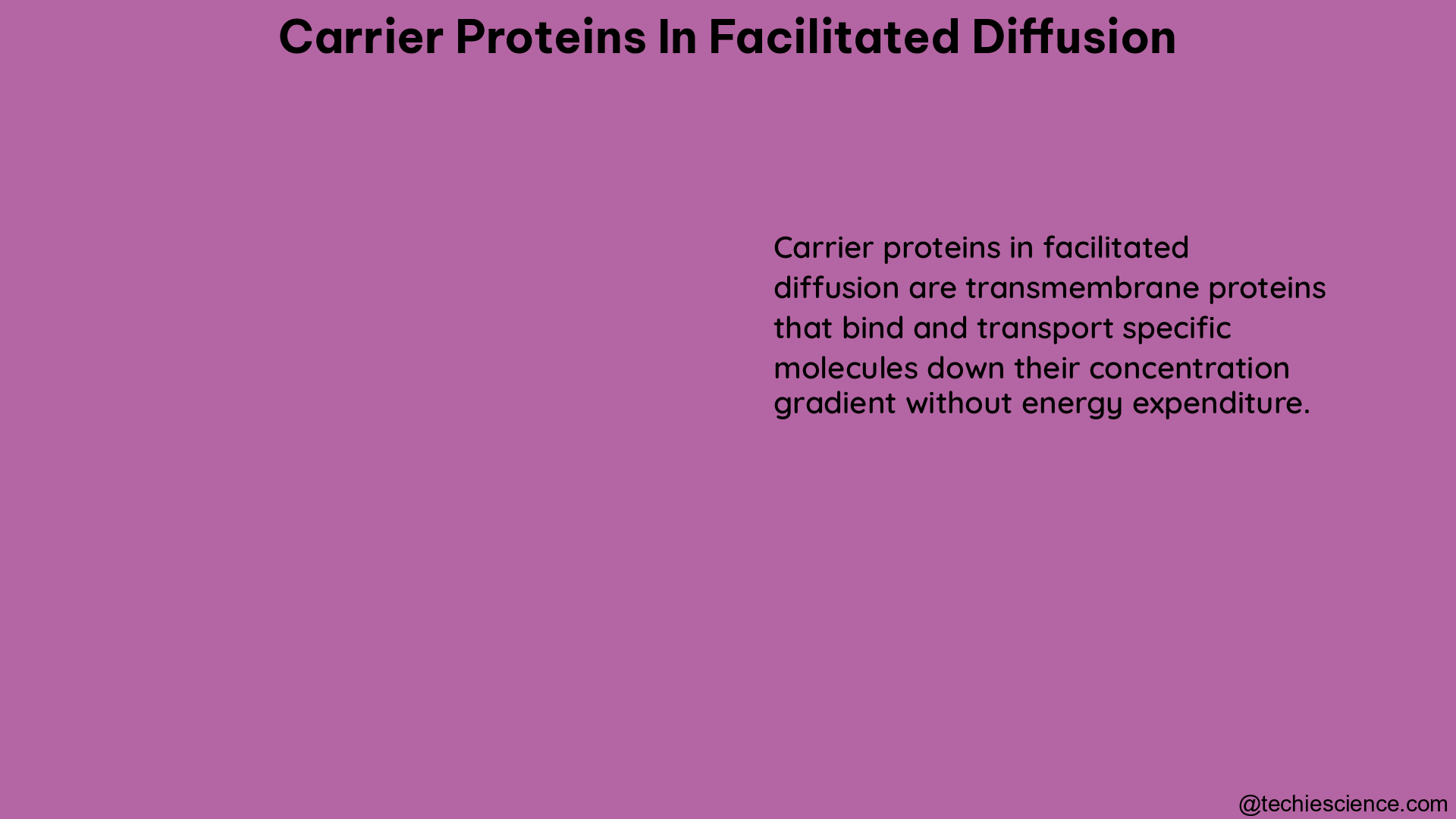 carrier proteins in facilitated diffusion