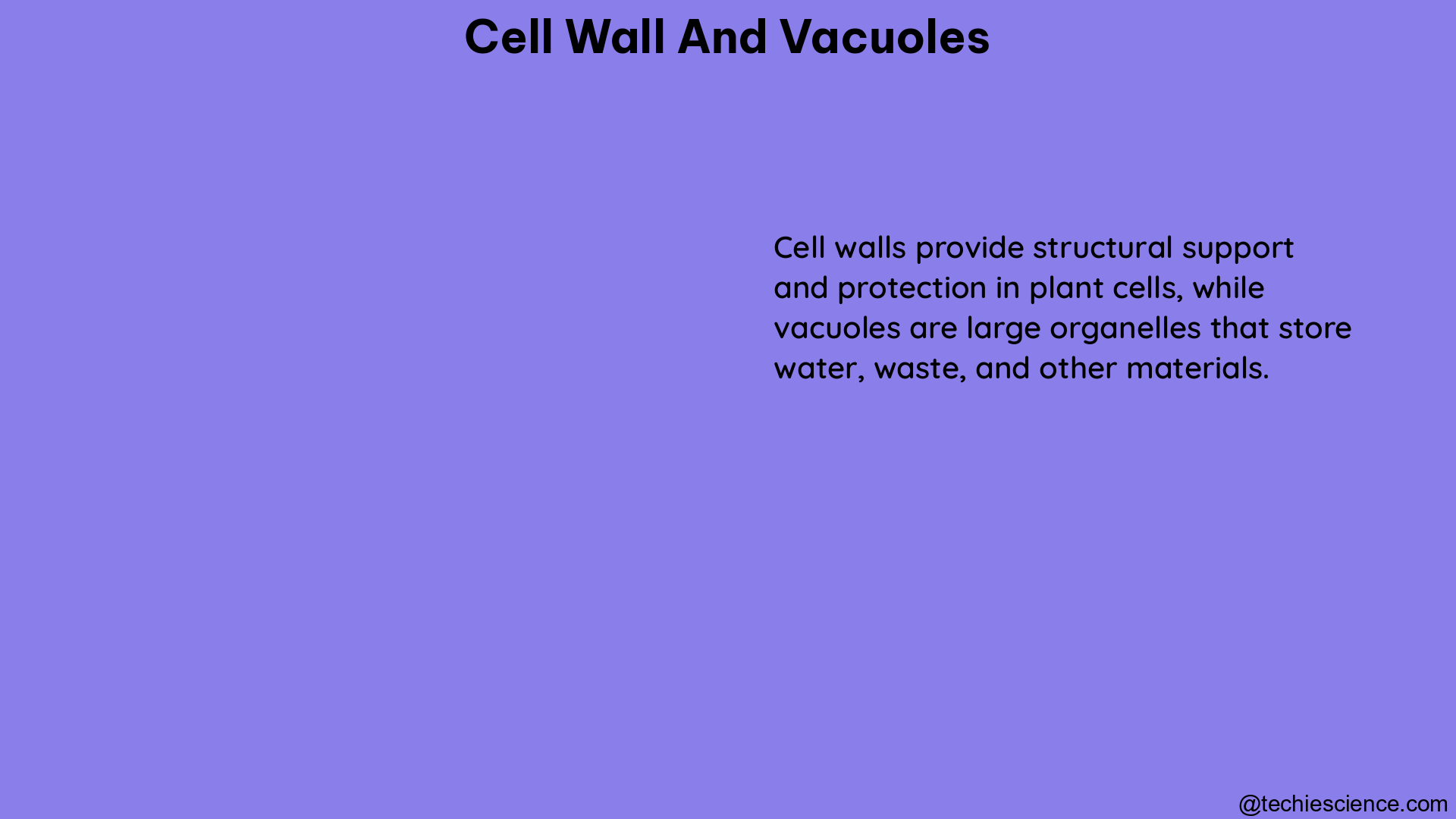 cell wall and vacuoles