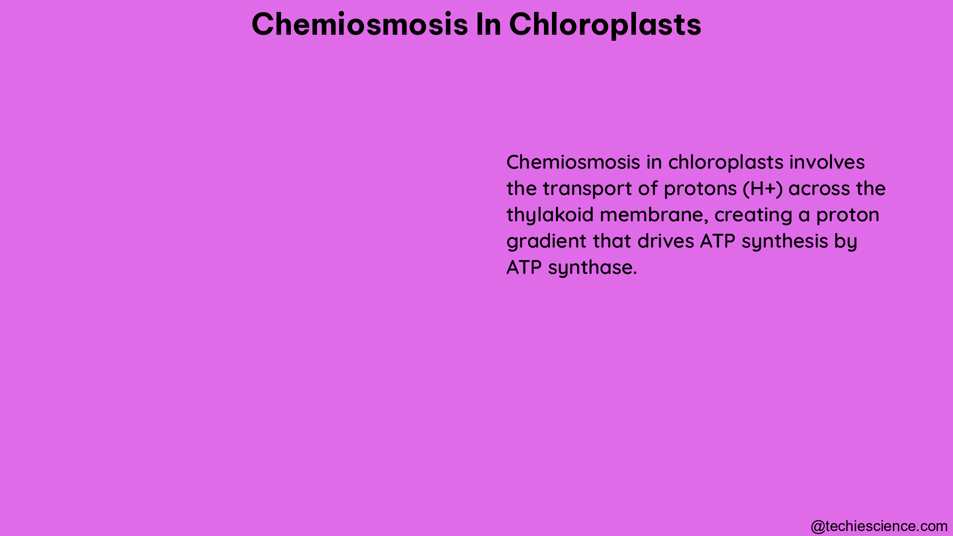 chemiosmosis in chloroplasts