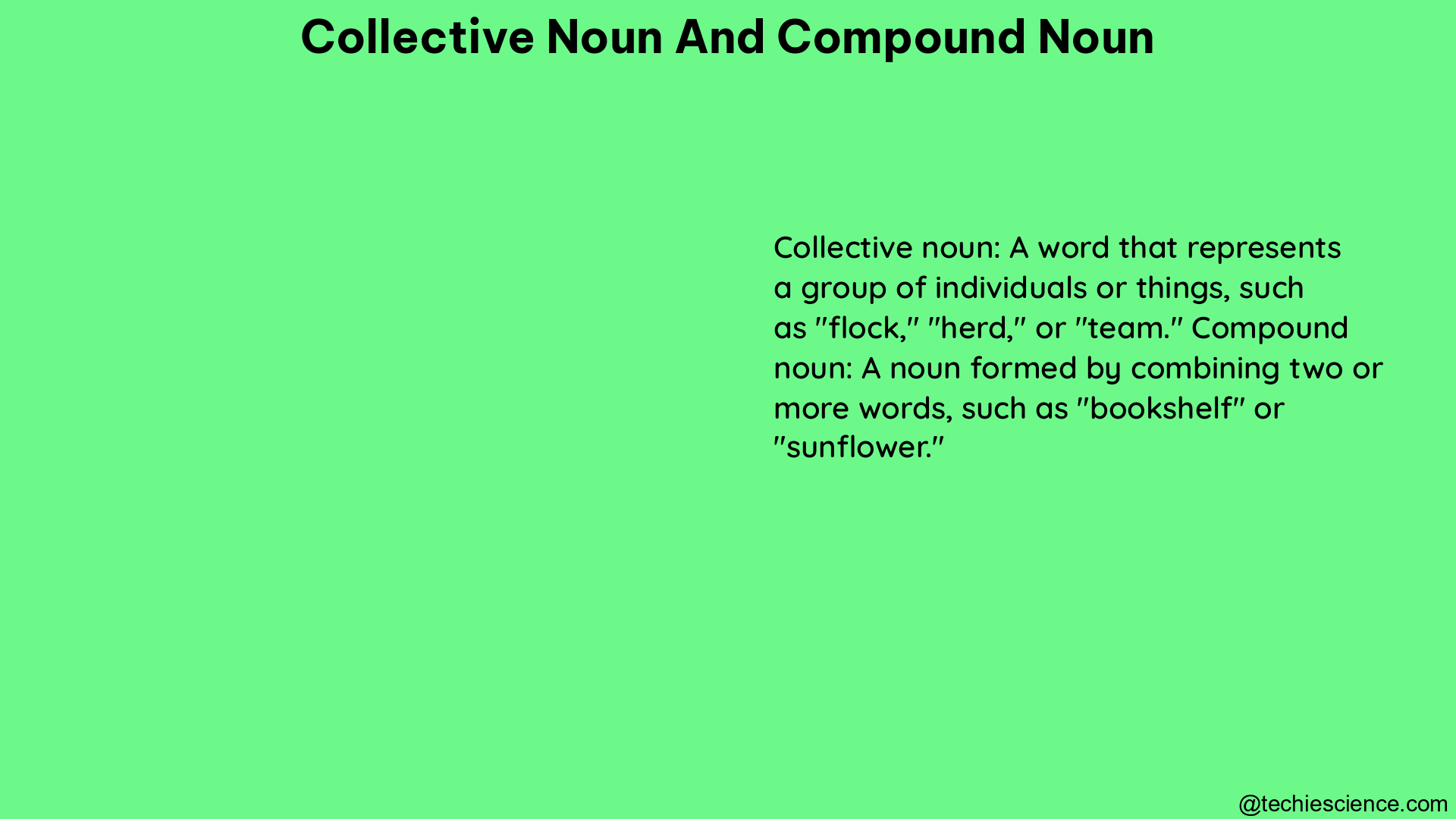 collective noun and compound noun