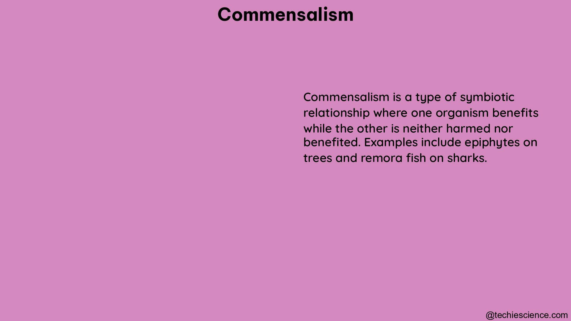 commensalism