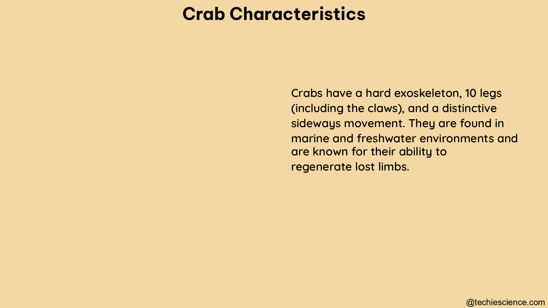 crab characteristics