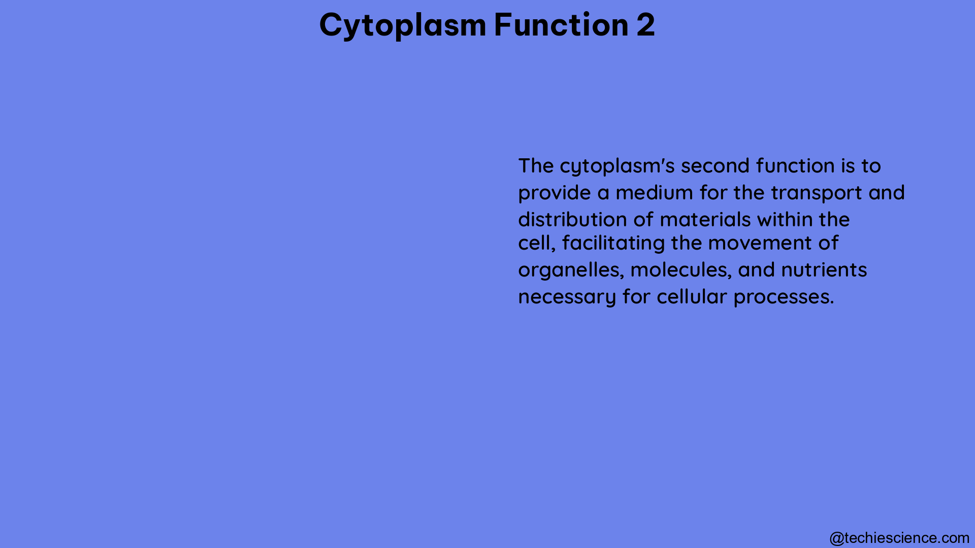 cytoplasm function 2