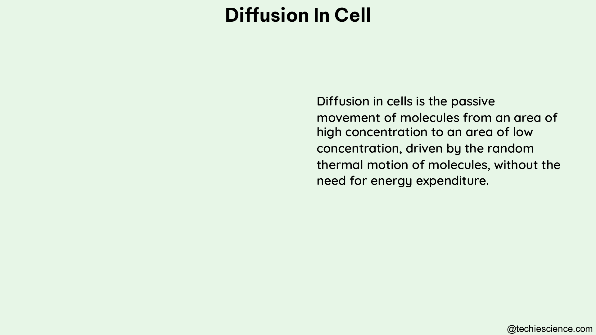 diffusion in cell