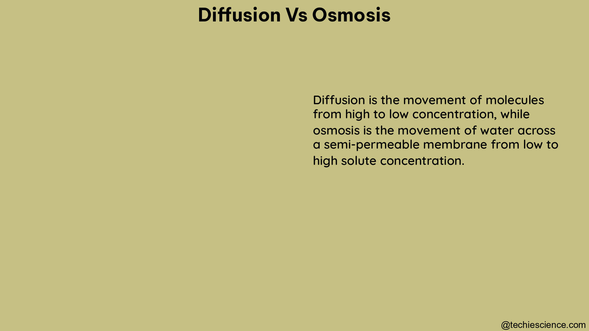 diffusion vs osmosis