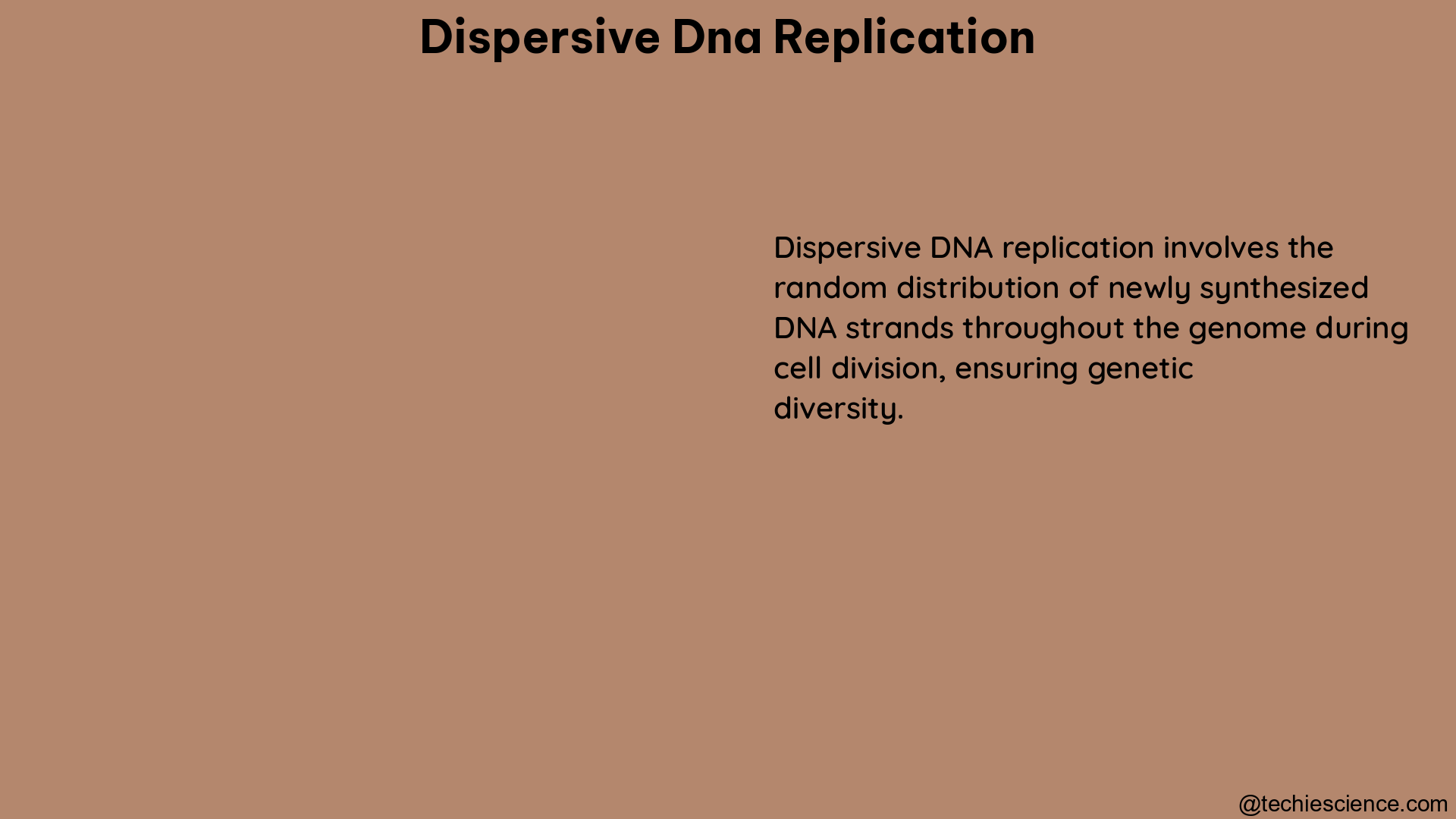 dispersive dna replication